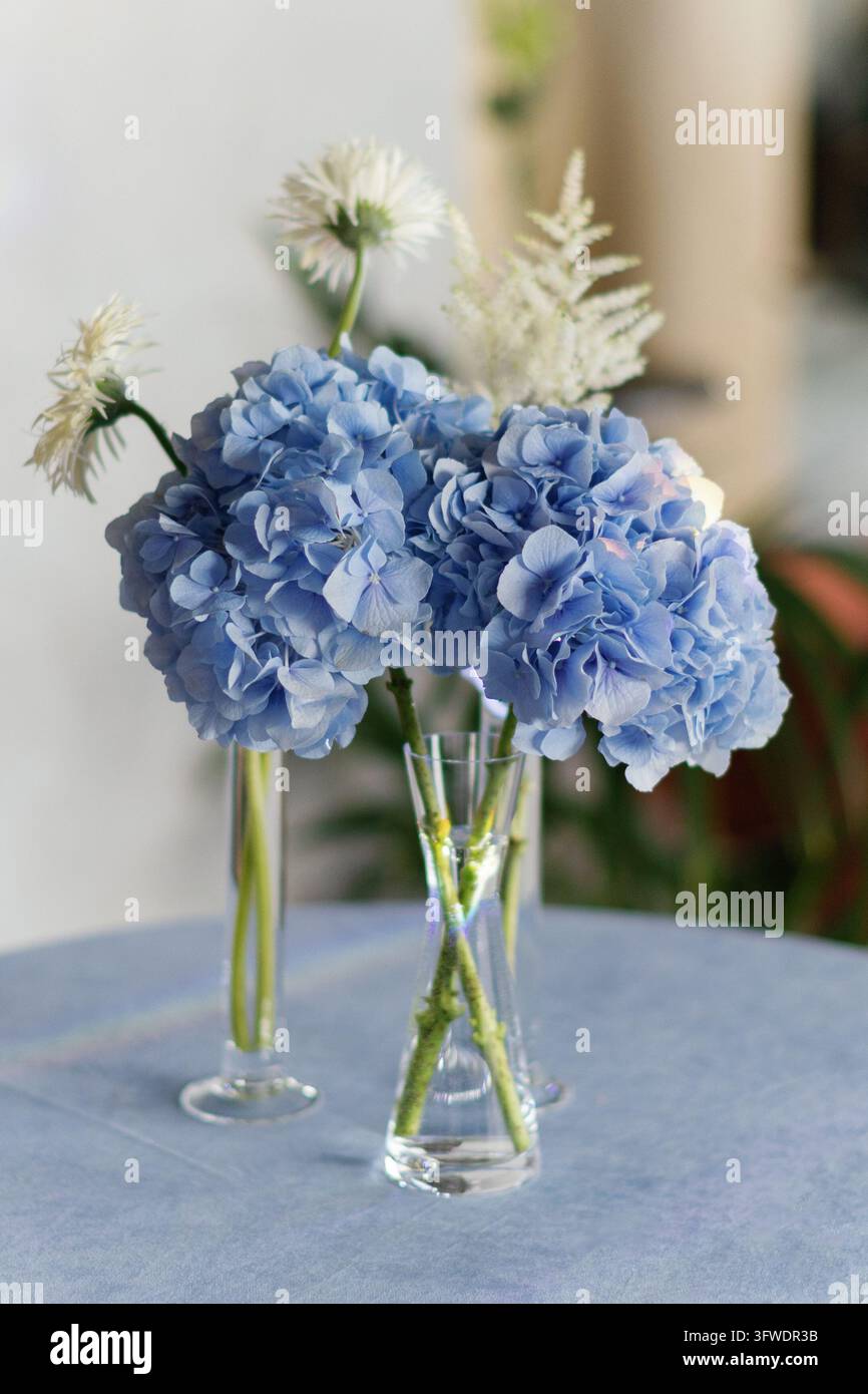 Blue hydrangeas, white astilbe, and gerbera daisies arranged in clear ...