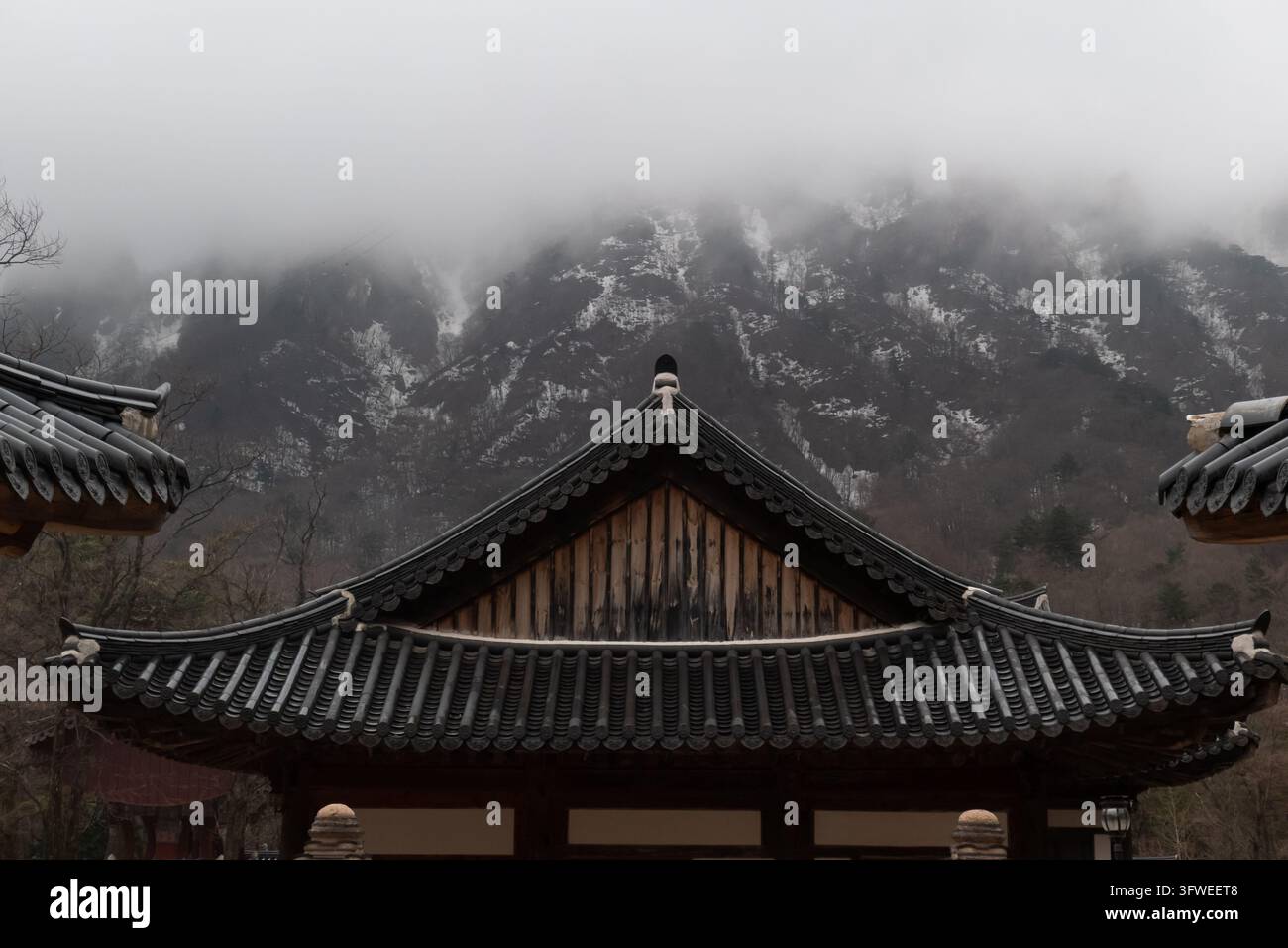 Simitry Images Symmetrical view of a traditional East Asian building with a dark tiled ...