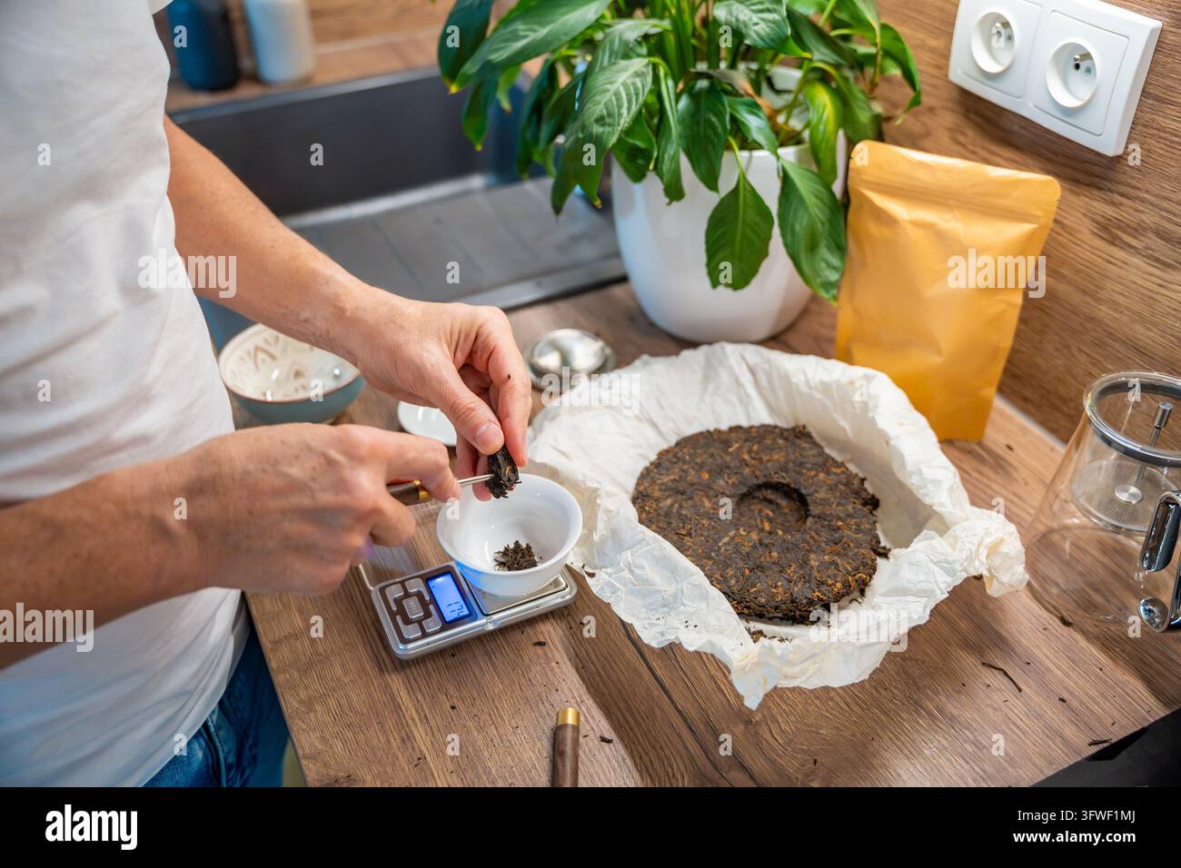 Hands transfer a piece of puer tea into a cup on a digital scale. Weighing compressed leaves sets the brewing dose for Chinese tea. Stock Photo