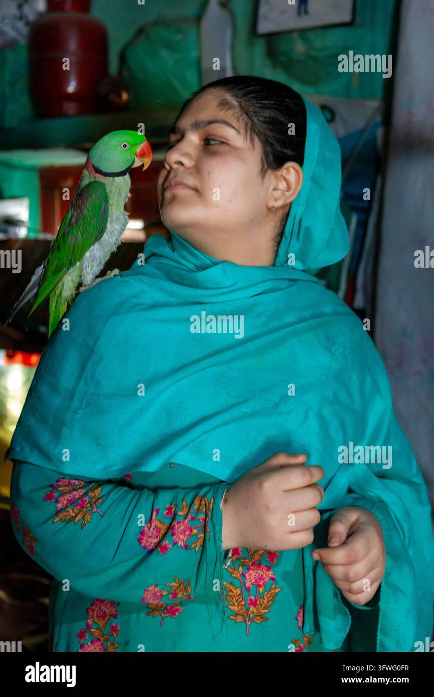 Young woman in a turquoise headscarf with a parakeet on her shoulder, Jammu and Kashmir, Srinagar, India Stock Photo