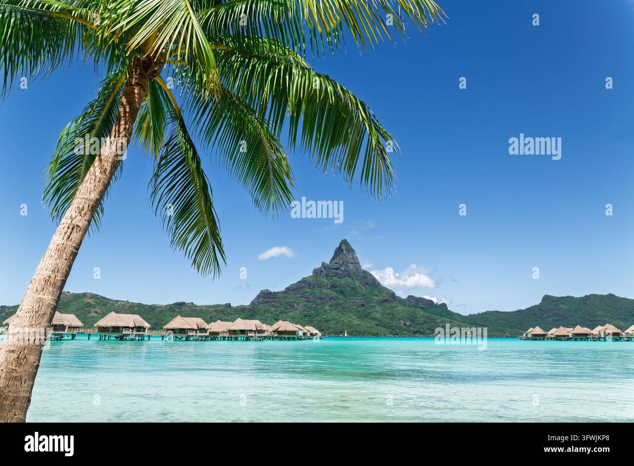 Palm tree frames the iconic Bora Bora mountain above turquoise lagoon ...
