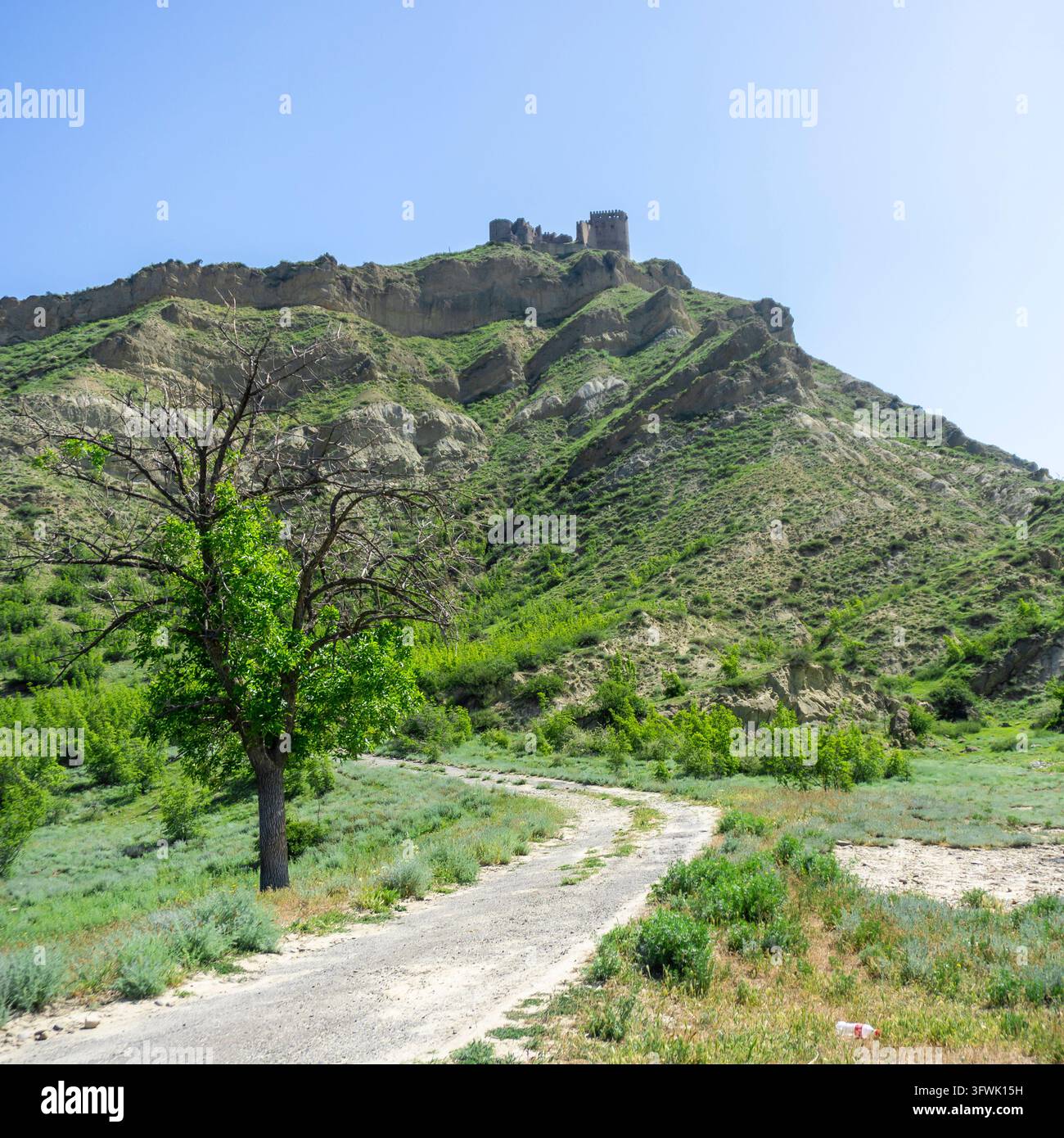 Vector Mike Old Earth road leading to the hill with the old fortress of Ksani. The ...