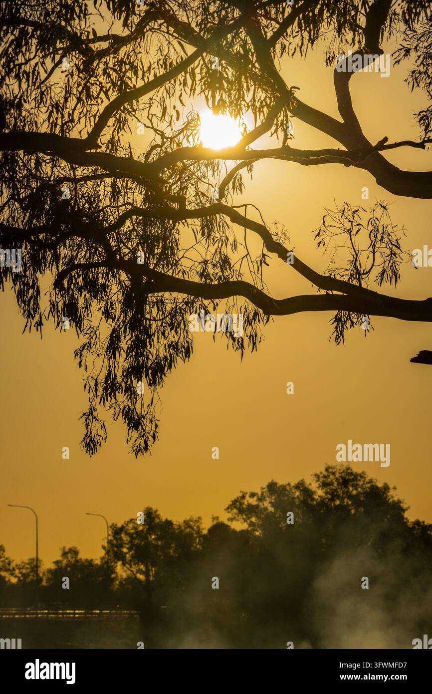 Bush fire fill atmosphere with smoke haze, partially blocks sun and ...