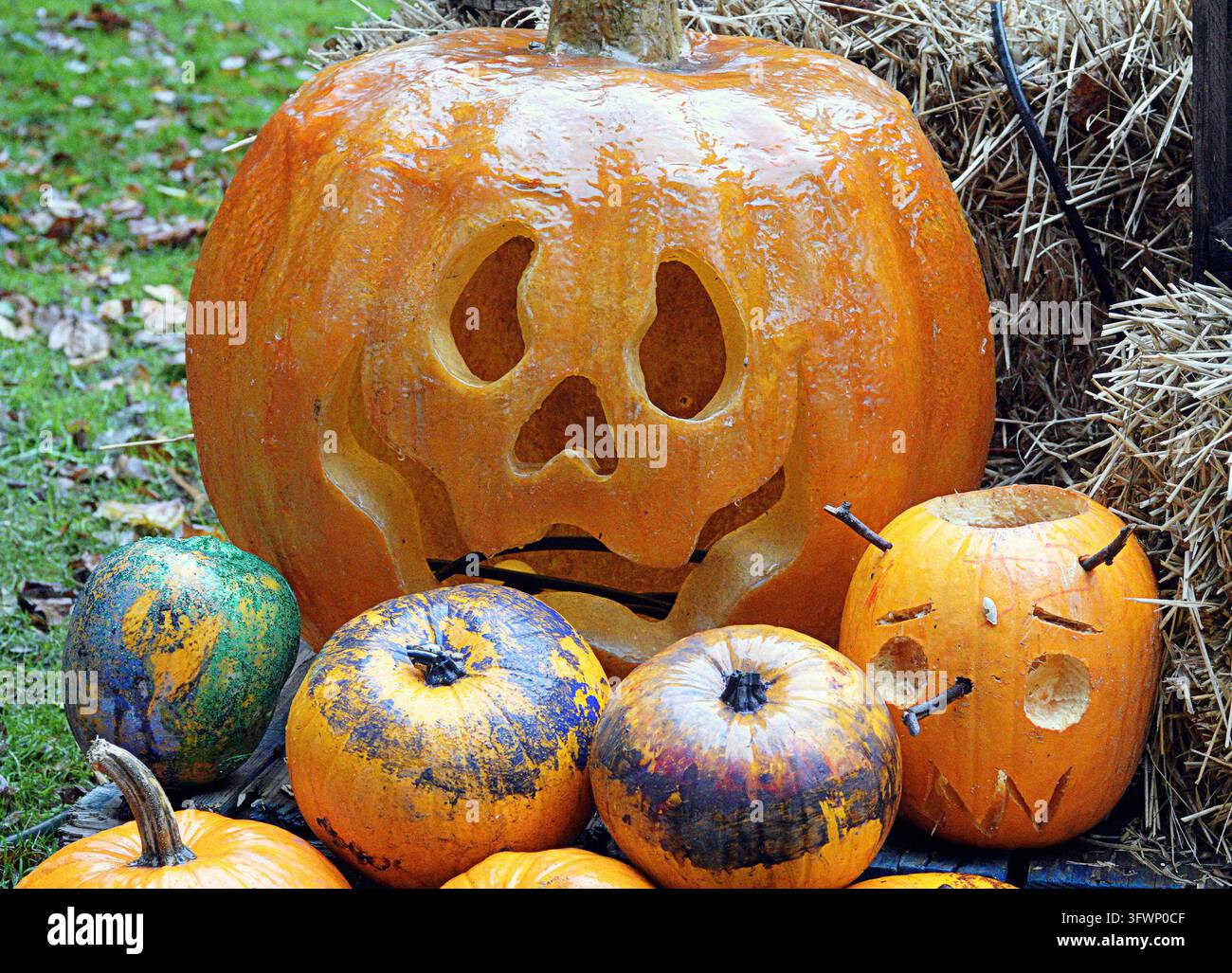 Glasgow, Scotland, UK. 20th October 2026. Pumpkin Patch in midst of bad ...