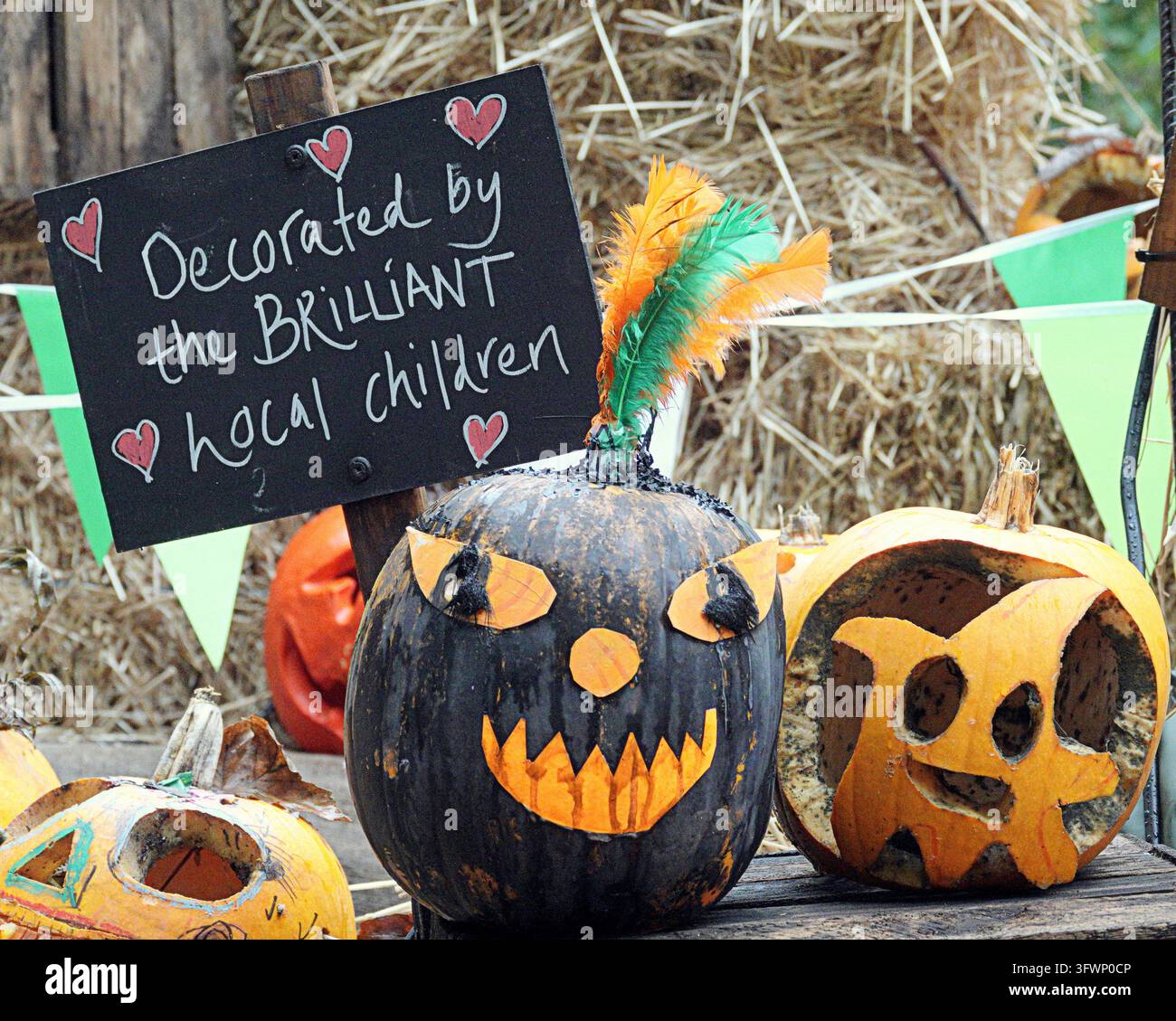 Glasgow, Scotland, UK. 20th October 2026. Pumpkin Patch in midst of bad ...