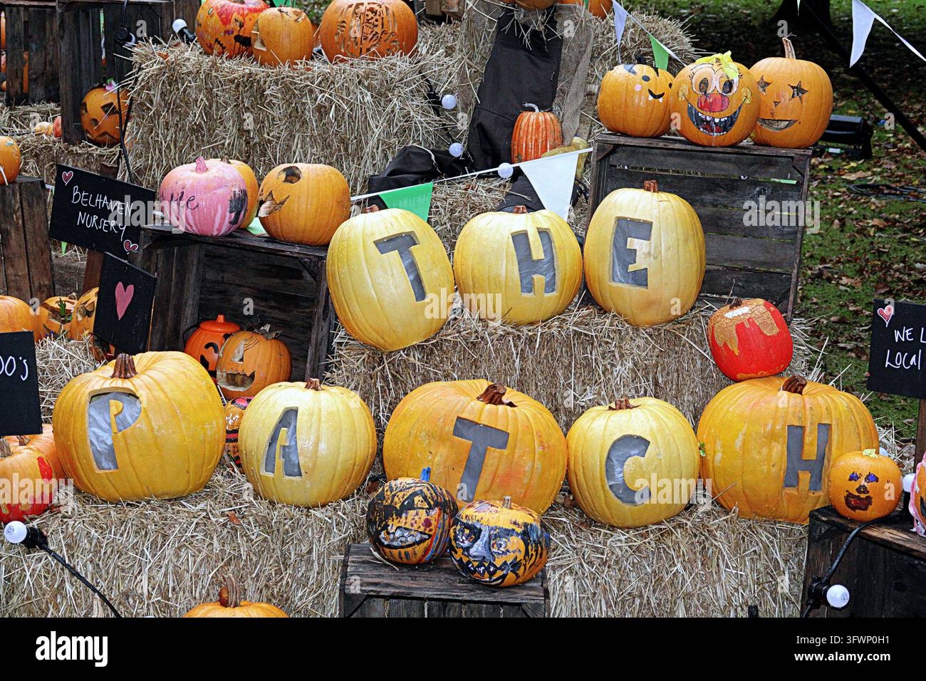 Glasgow, Scotland, UK. 20th October 2026. Pumpkin Patch in midst of bad ...