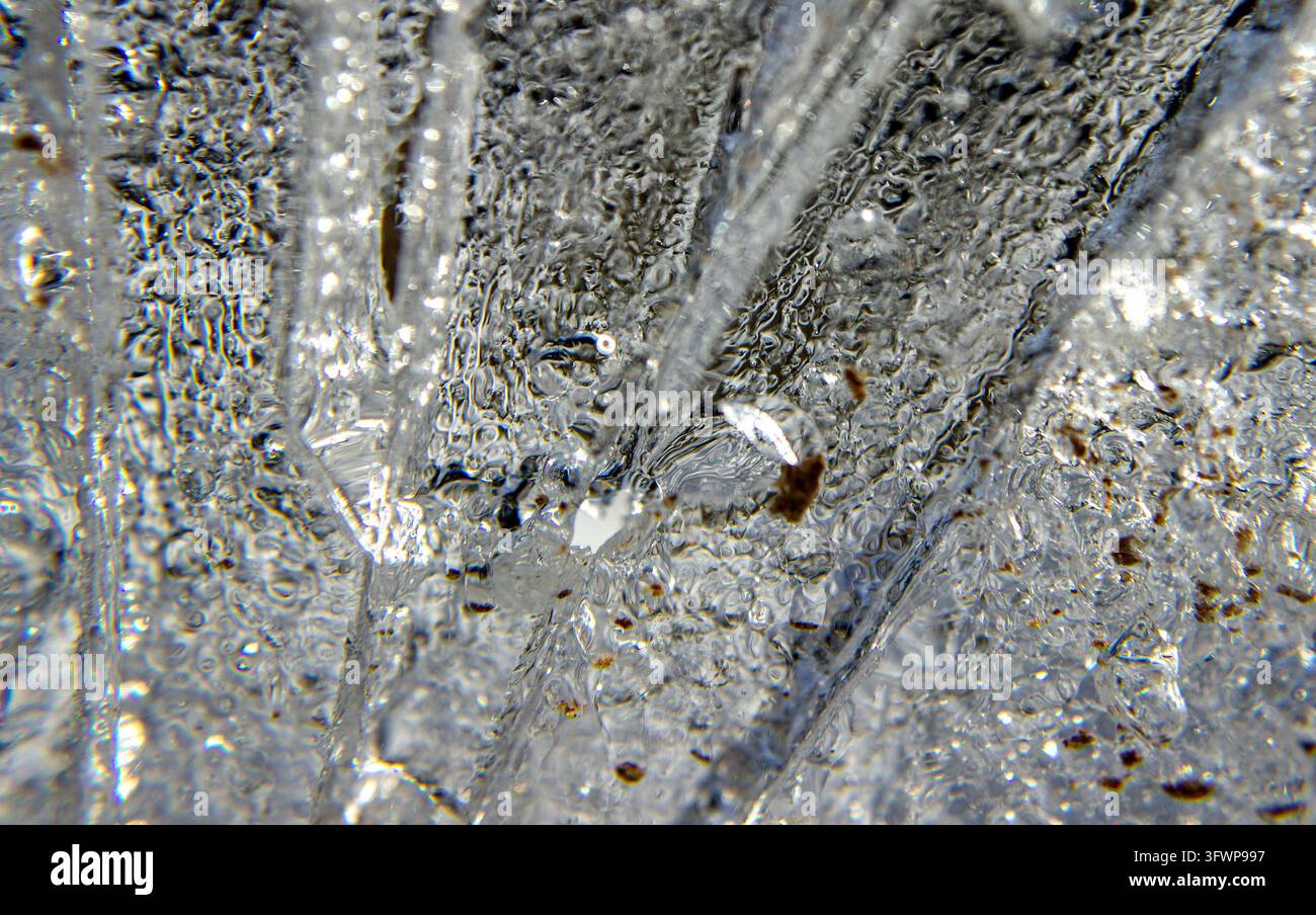 Detailed macro texture complex hi-res stock photography and images - Alamy
