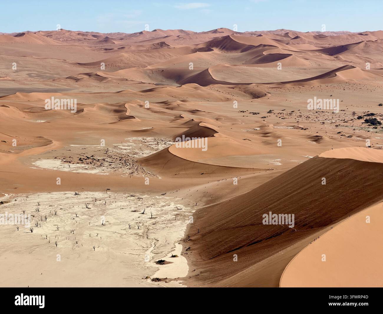 Pale dune slope hi-res stock photography and images - Alamy
