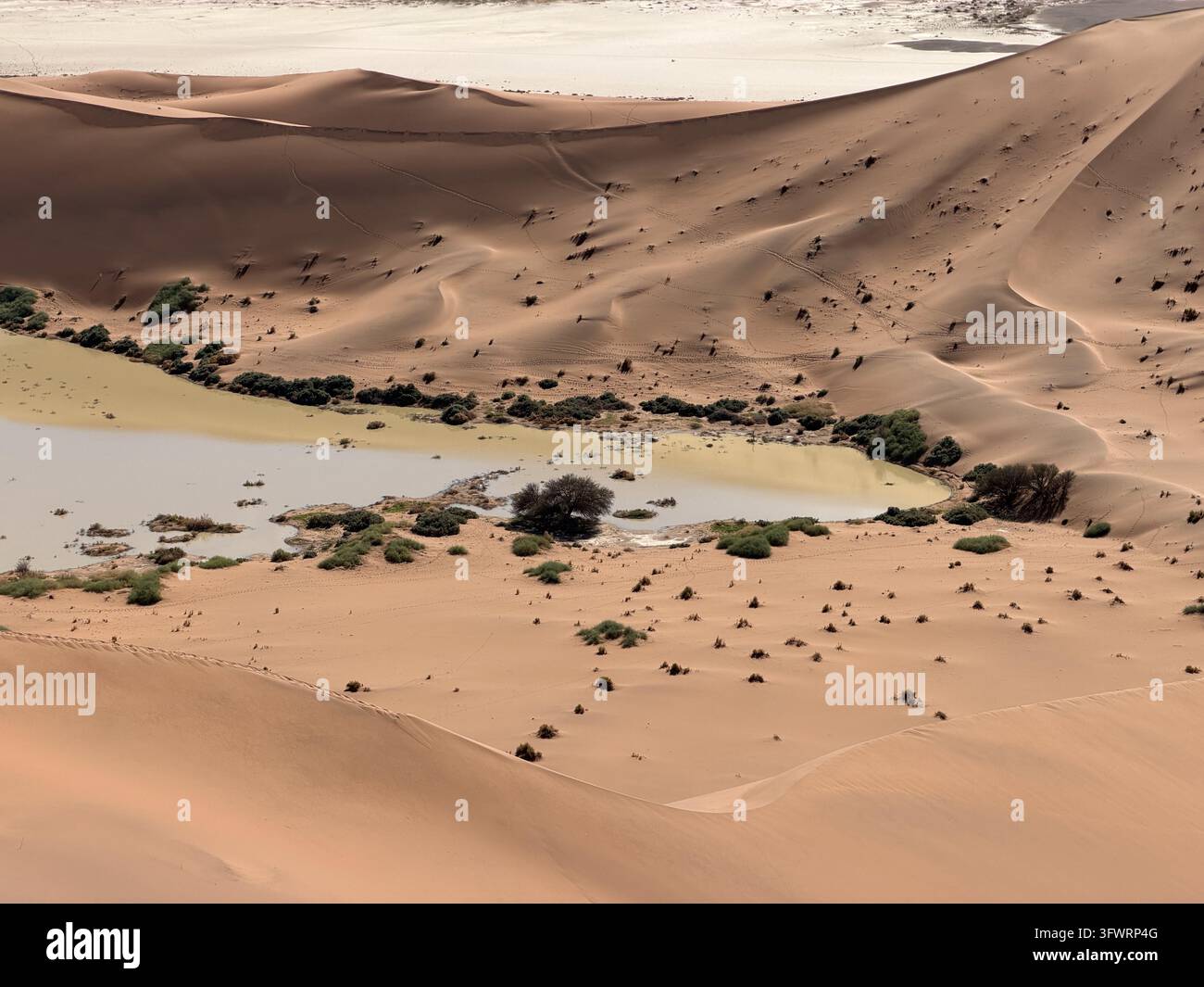A broad pale desert basin with sparse shrubs lies between rolling dunes near Deadvlei and Sossusvlei, Namibia. - Smartphone Captured Stock Image