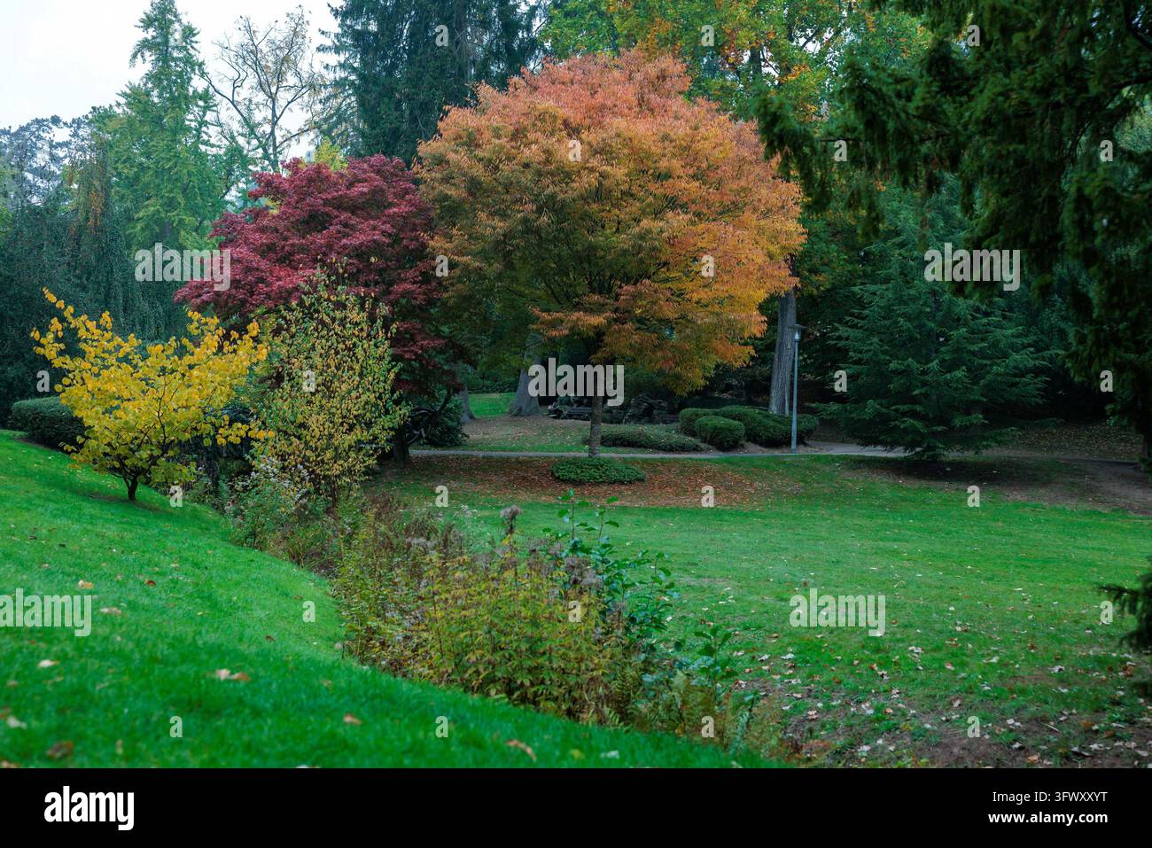 21 October 2026, Hesse, Wiesbaden: Trees and shrubs in the Nerotal ...
