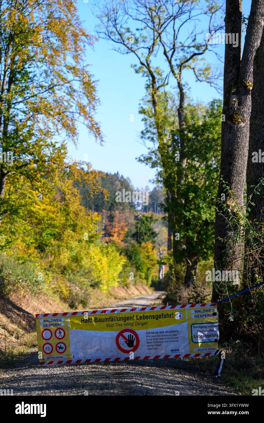 PRODUCTION - 20 October 2026, Lower Saxony, Merxhausen: A forest road ...