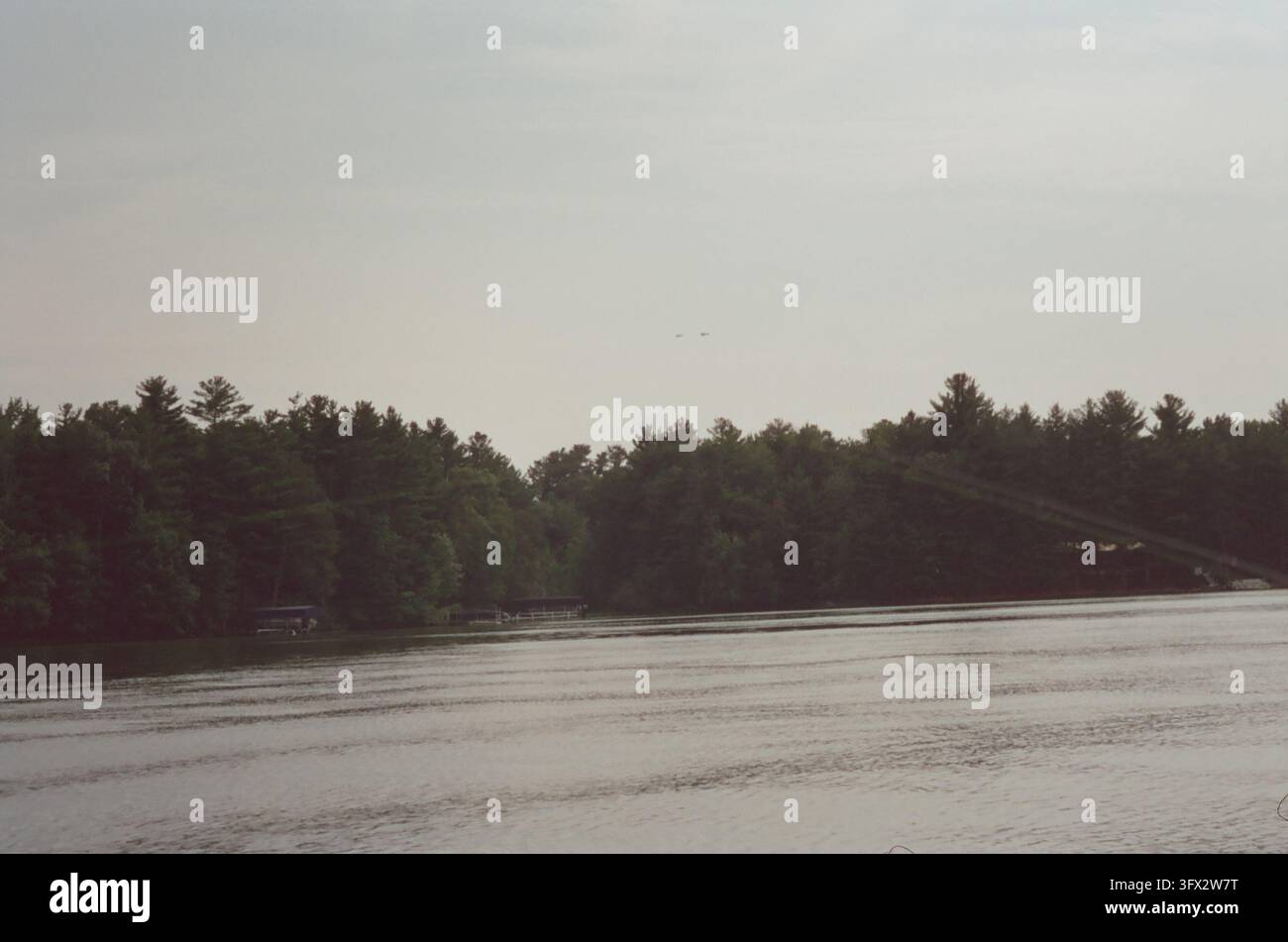 A serene waterfront landscape featuring a calm body of water reflecting an overcast sky, bordered by a dense line of tall evergreen and mixed trees. A Stock Photo