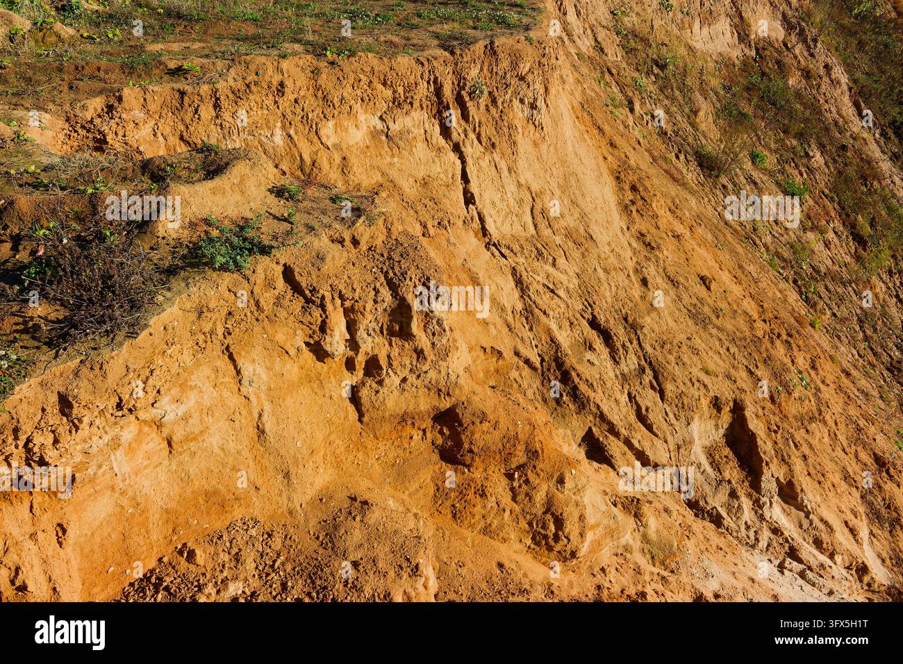 Sol Textyre Close-up of a weathered sandy slope with loose soil texture, showing ...