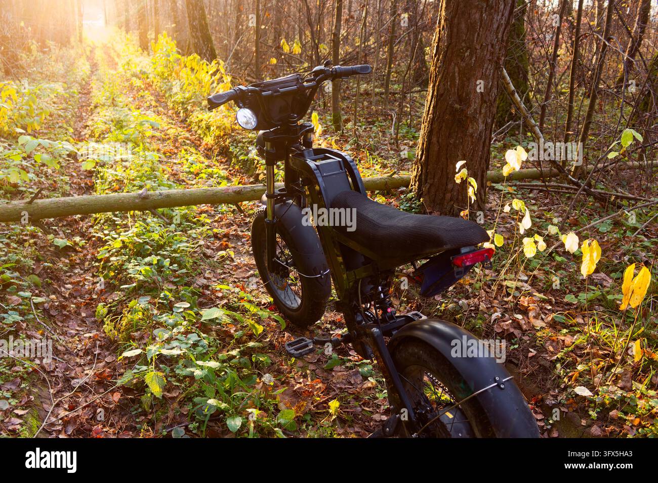 Golden Link Tree Modern electric bike parked on a narrow forest trail blocked by a ...