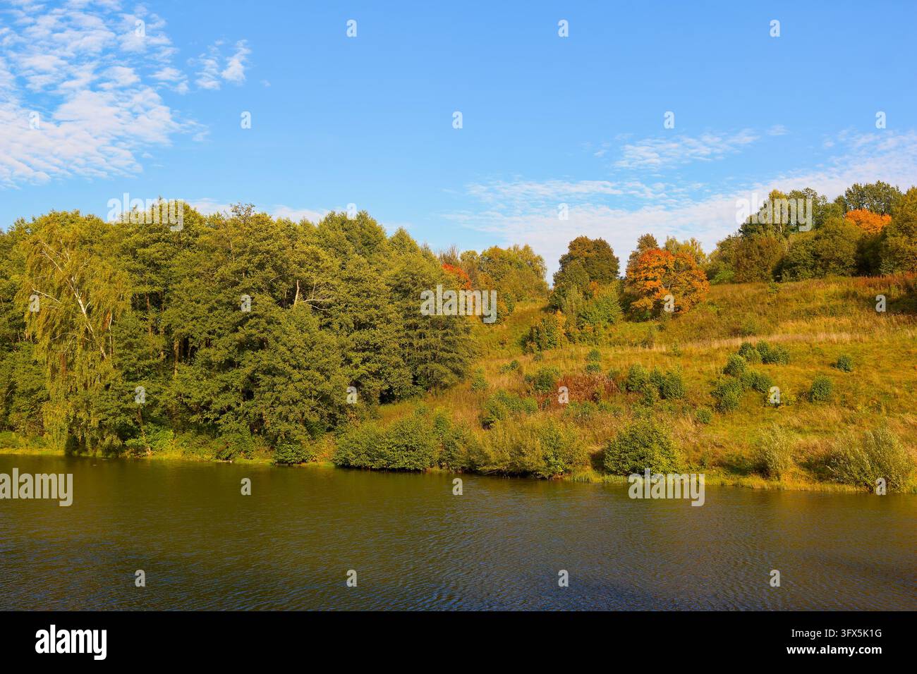 Golden Link Tree Vibrant autumn foliage frames a calm river bank under a bright blue sky ...