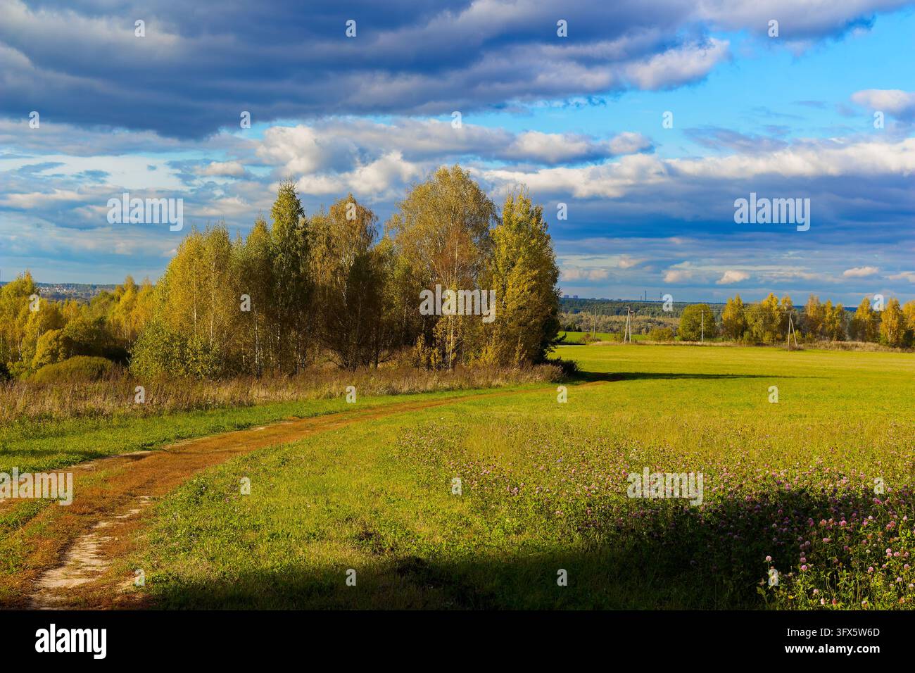 Golden Link Tree Golden autumn trees frame a rustic dirt path winding through a vibrant ...