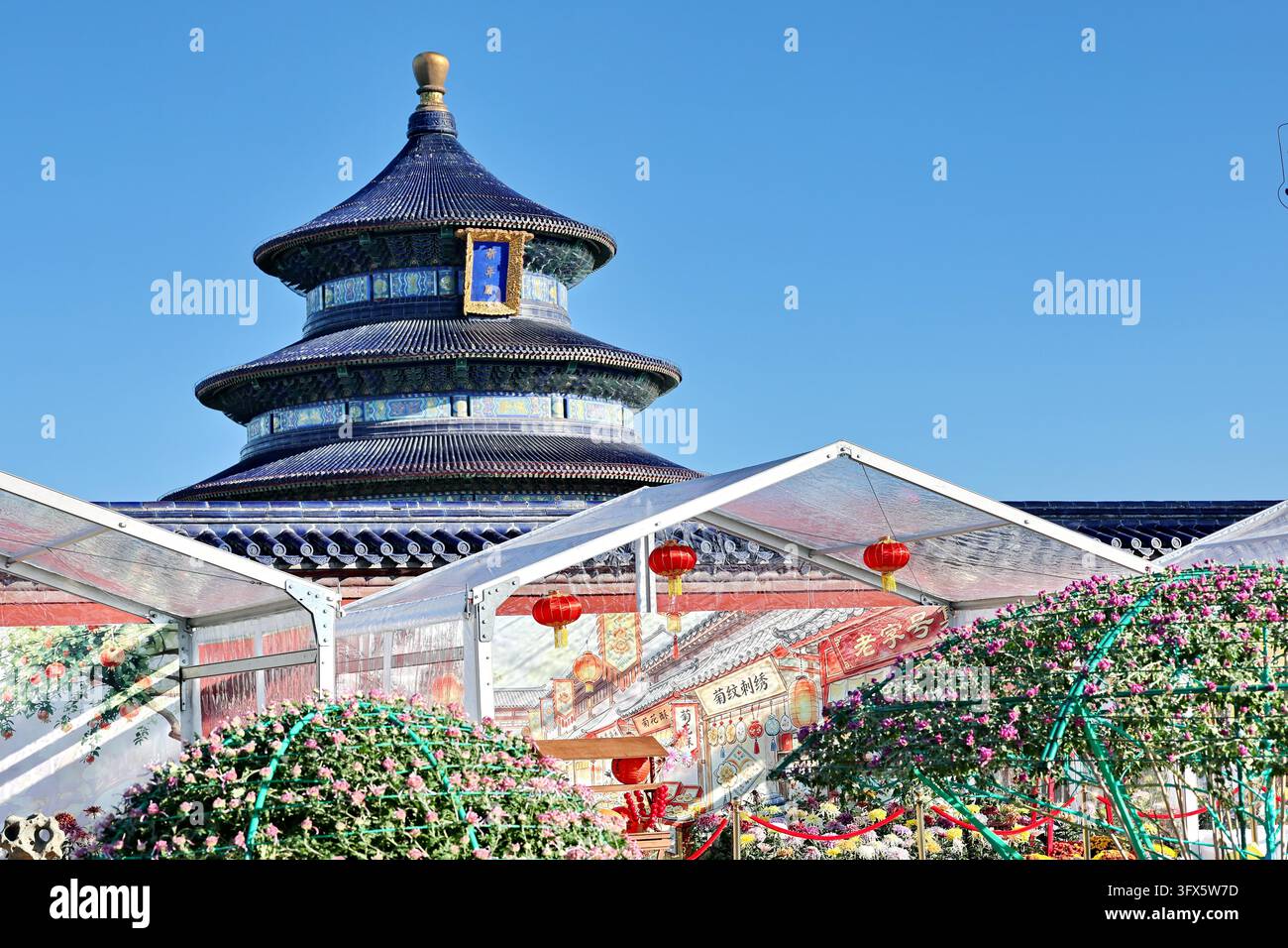 Temple Display Workers put finishing touches on chrysanthemum displays at the Hall of ...