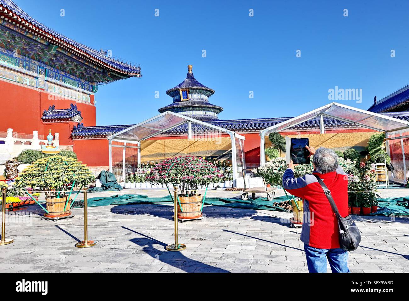 Temple Display Workers put finishing touches on chrysanthemum displays at the Hall of ...