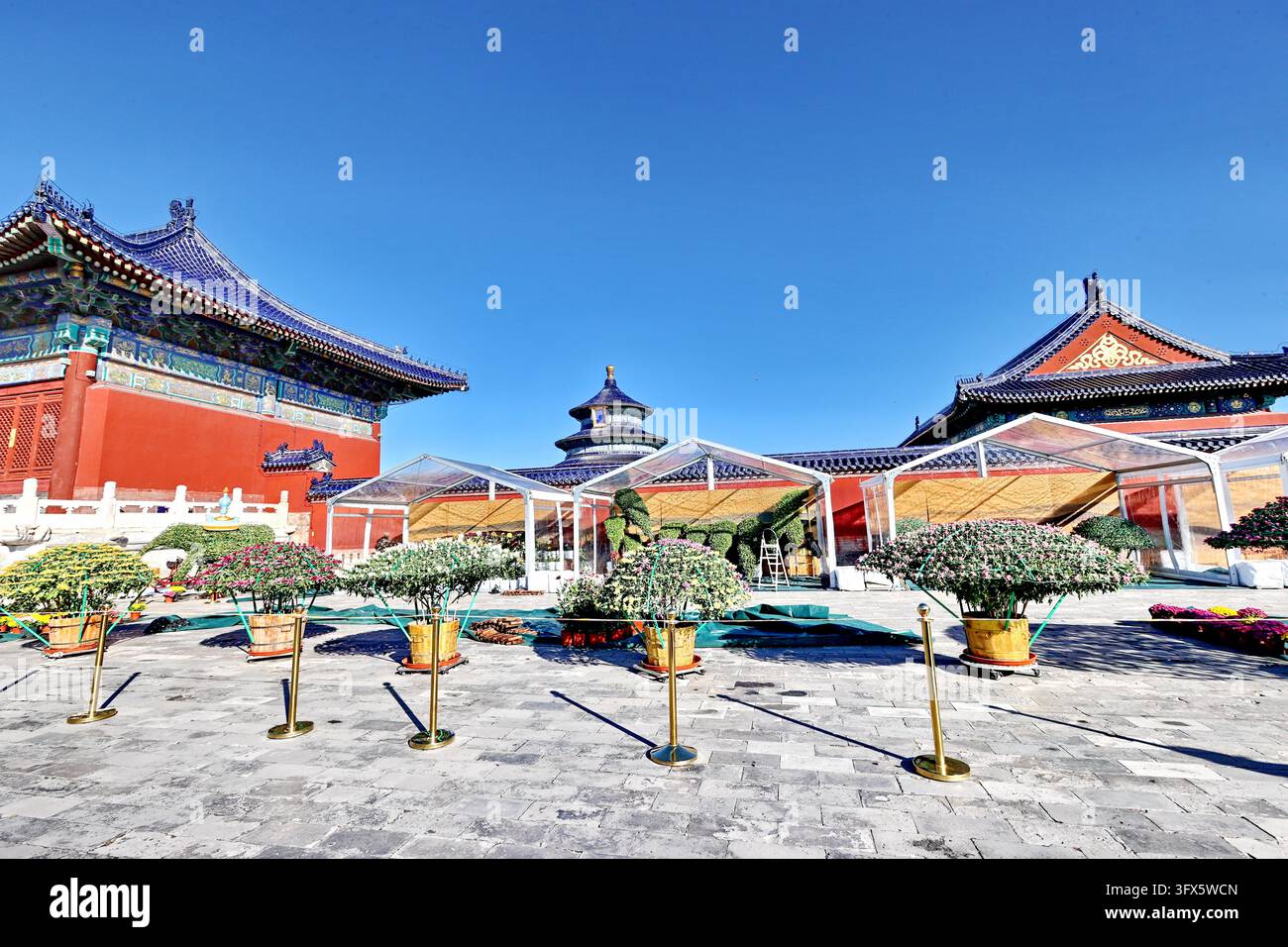 Temple Display Workers put finishing touches on chrysanthemum displays at the Hall of ...