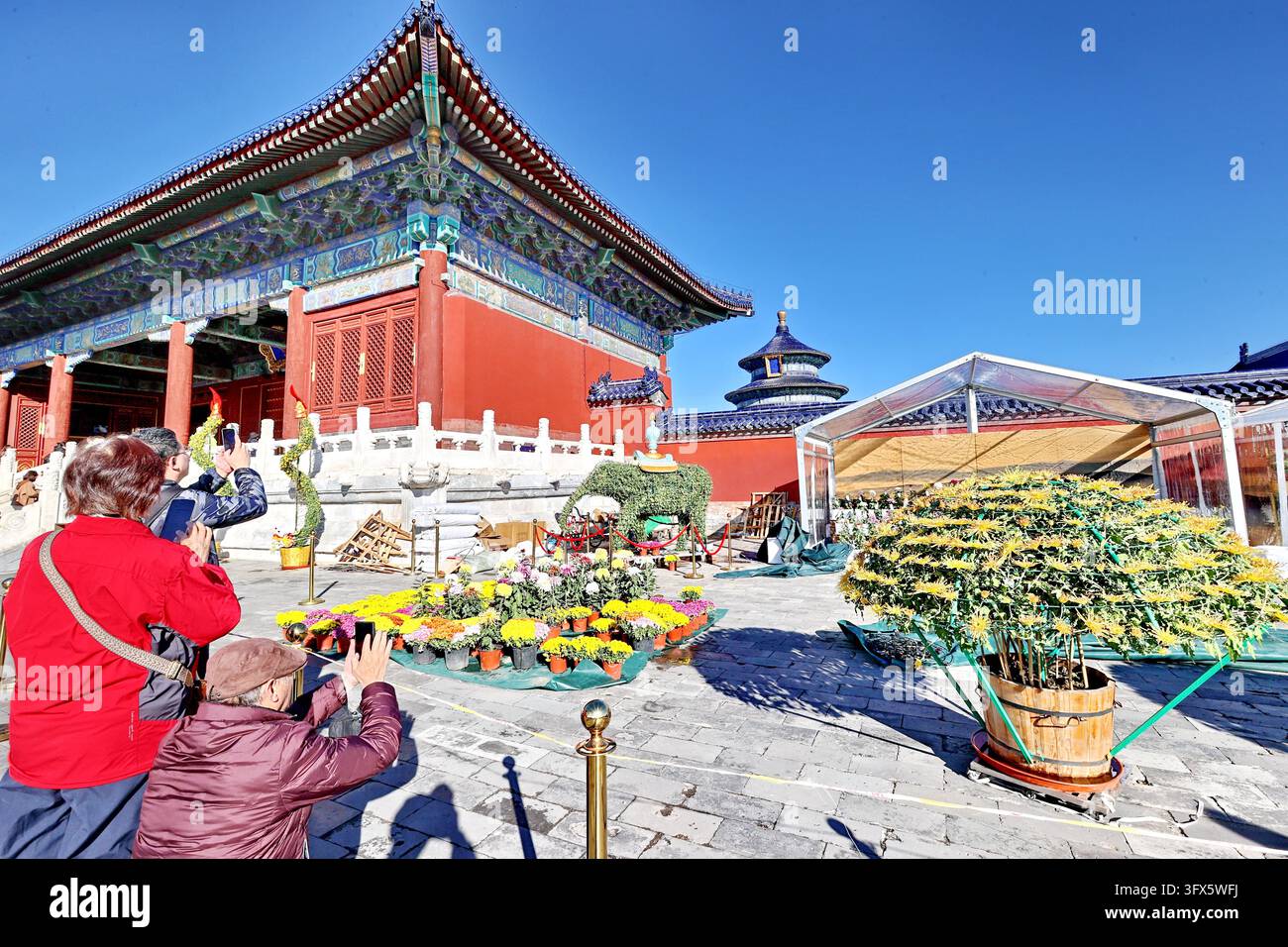 Temple Display Workers put finishing touches on chrysanthemum displays at the Hall of ...