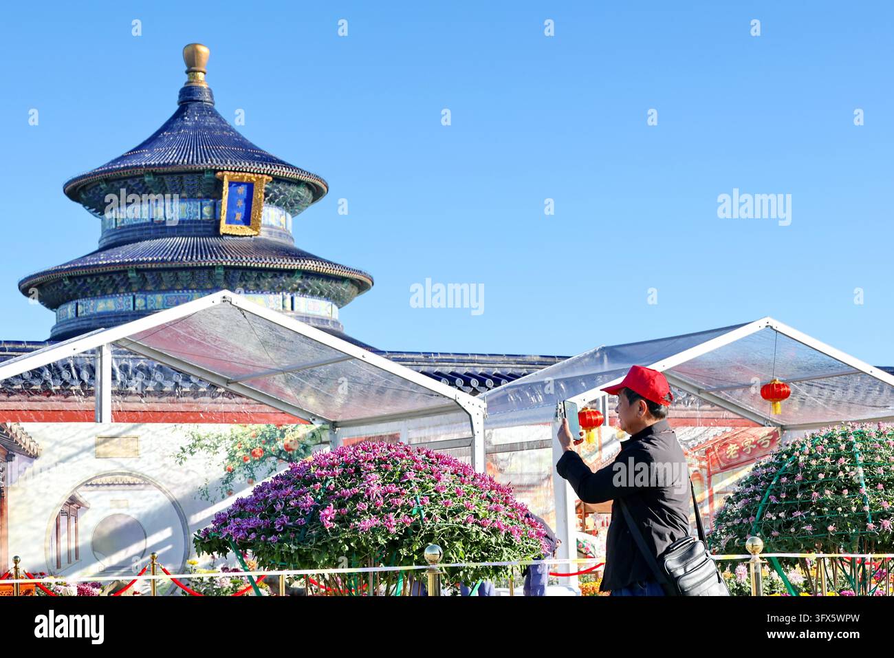 Temple Display Workers put finishing touches on chrysanthemum displays at the Hall of ...