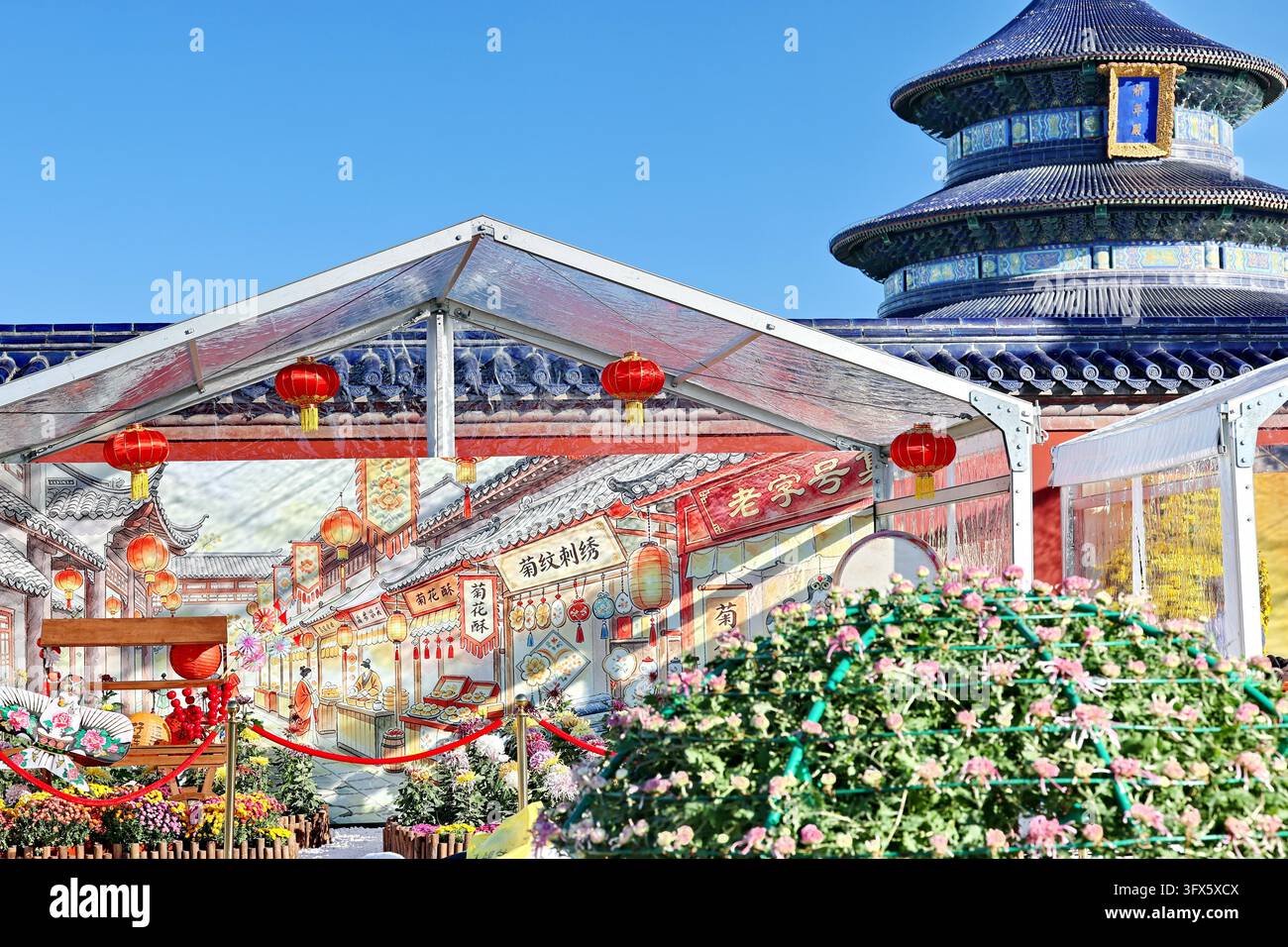 Temple Display Workers put finishing touches on chrysanthemum displays at the Hall of ...