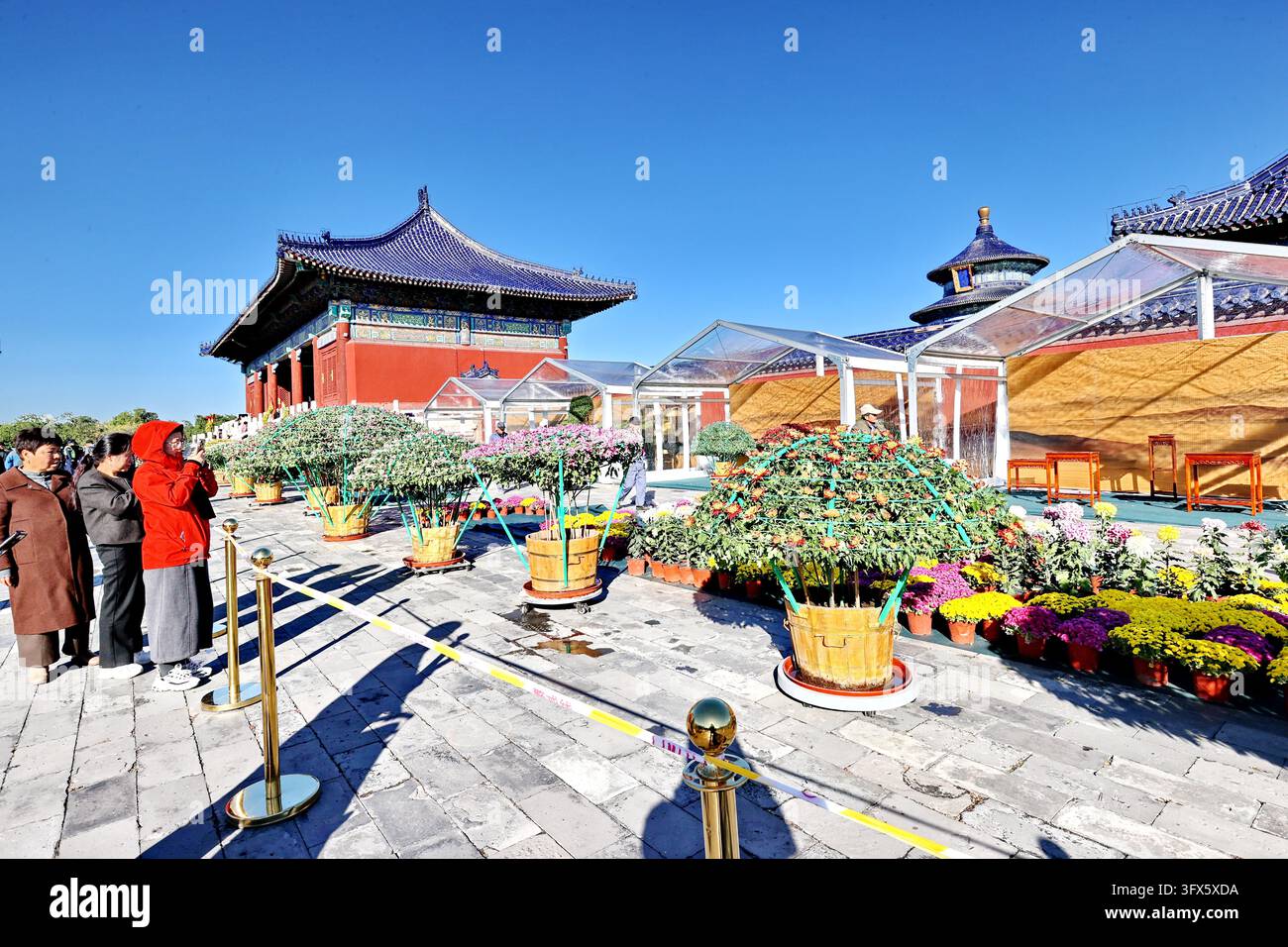 Temple Display Workers put finishing touches on chrysanthemum displays at the Hall of ...