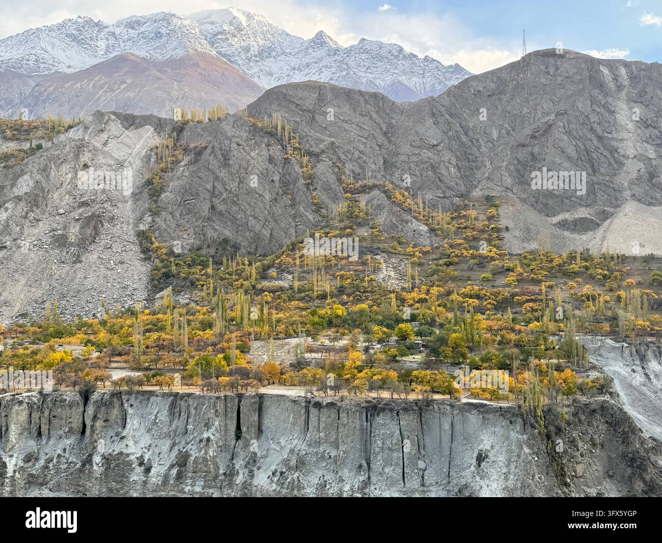 Golden Link Tree Autumn landscape with mountains and golden trees Stock Photo - Alamy