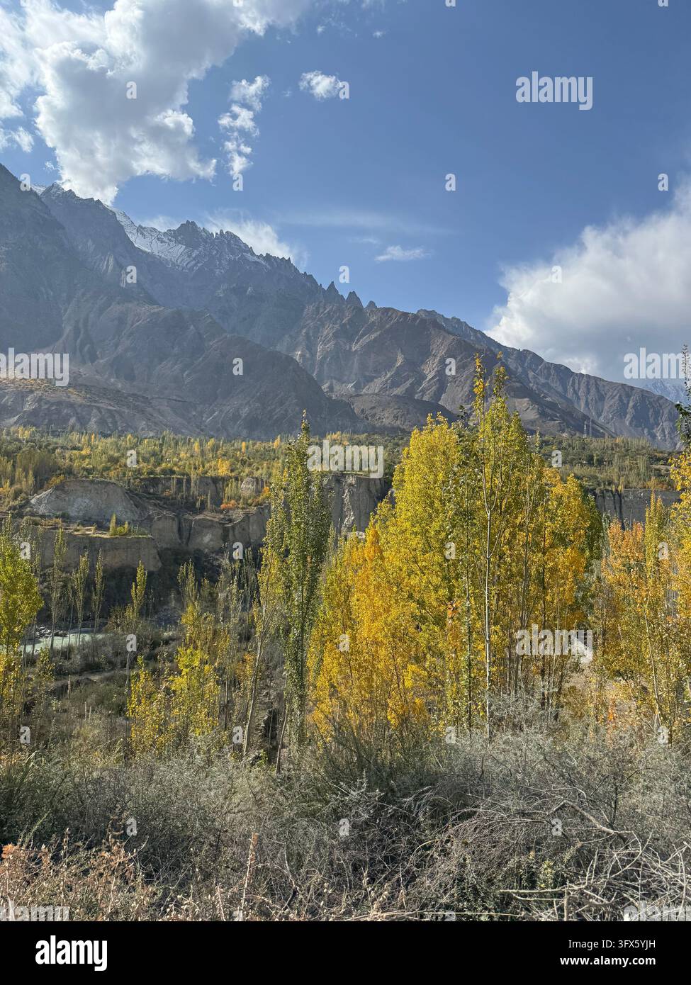 Autumn trees and rugged mountains under blue sky Stock Photo - Alamy