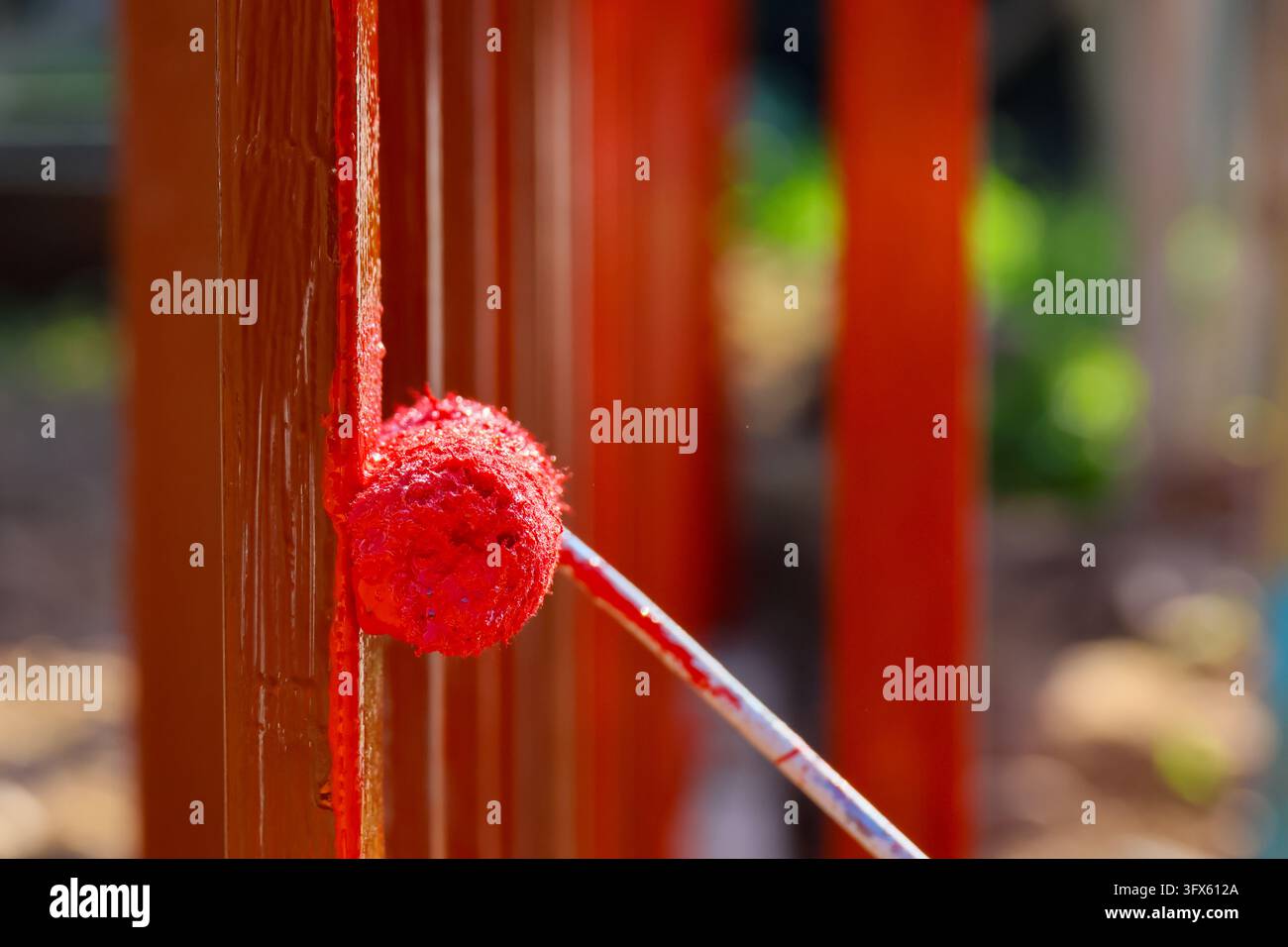 A red paint roller applying color to wooden surface with vivid texture ...