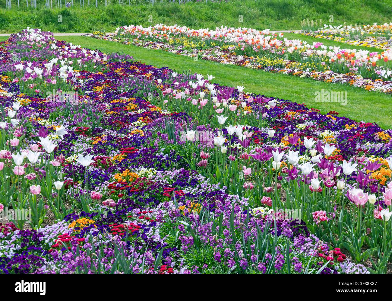 Jb fotografie hi-res stock photography and images - Alamy