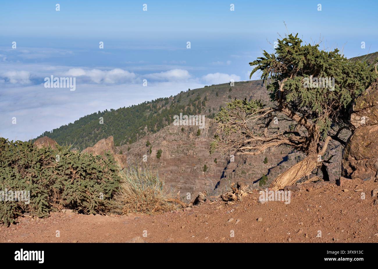 Blick vom Rand der Caldera de Taburiente über den Barranco Briestas gen ...