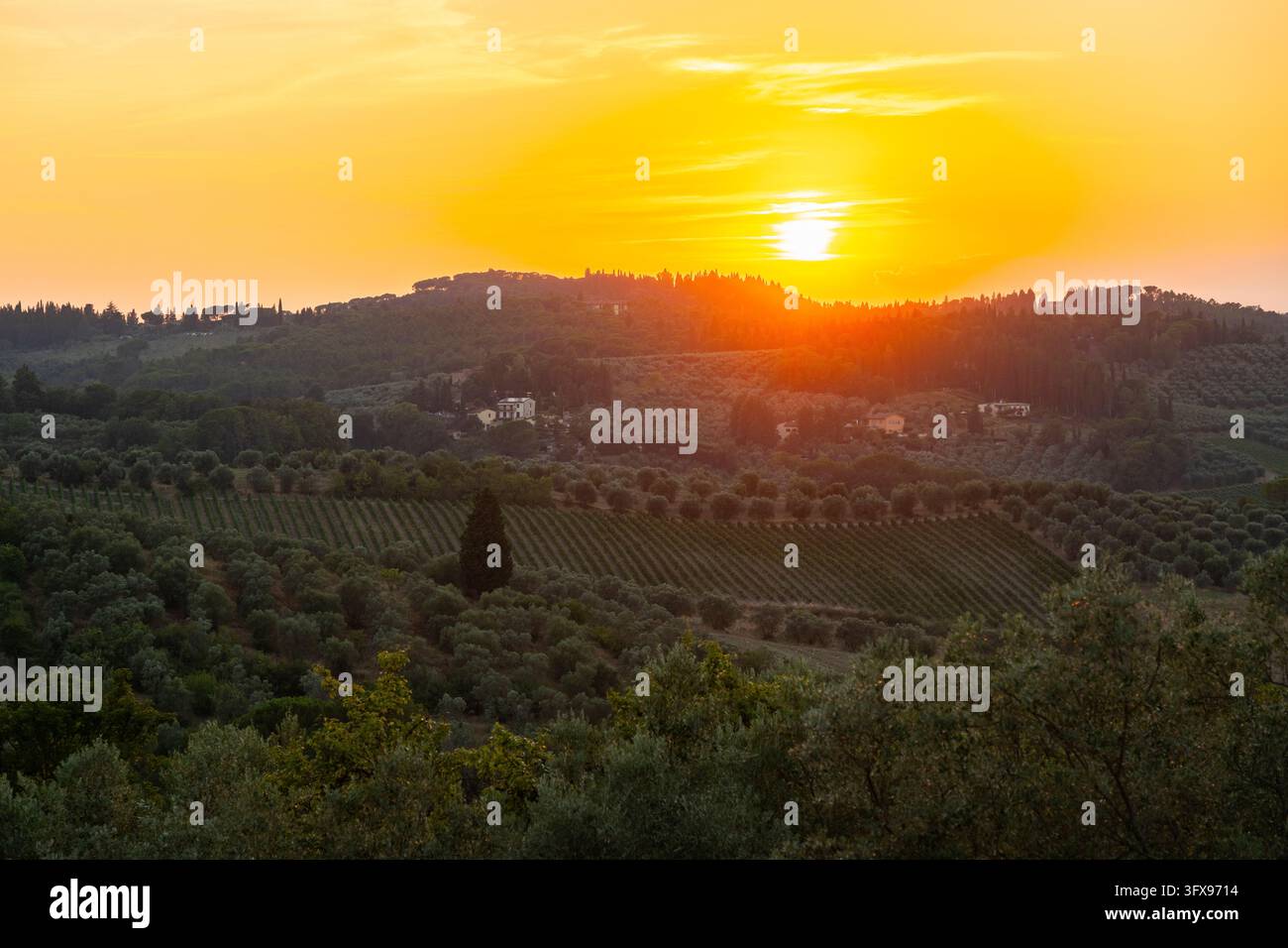 Tuscan landscape at sunset, country estate with olive trees in Chianti ...
