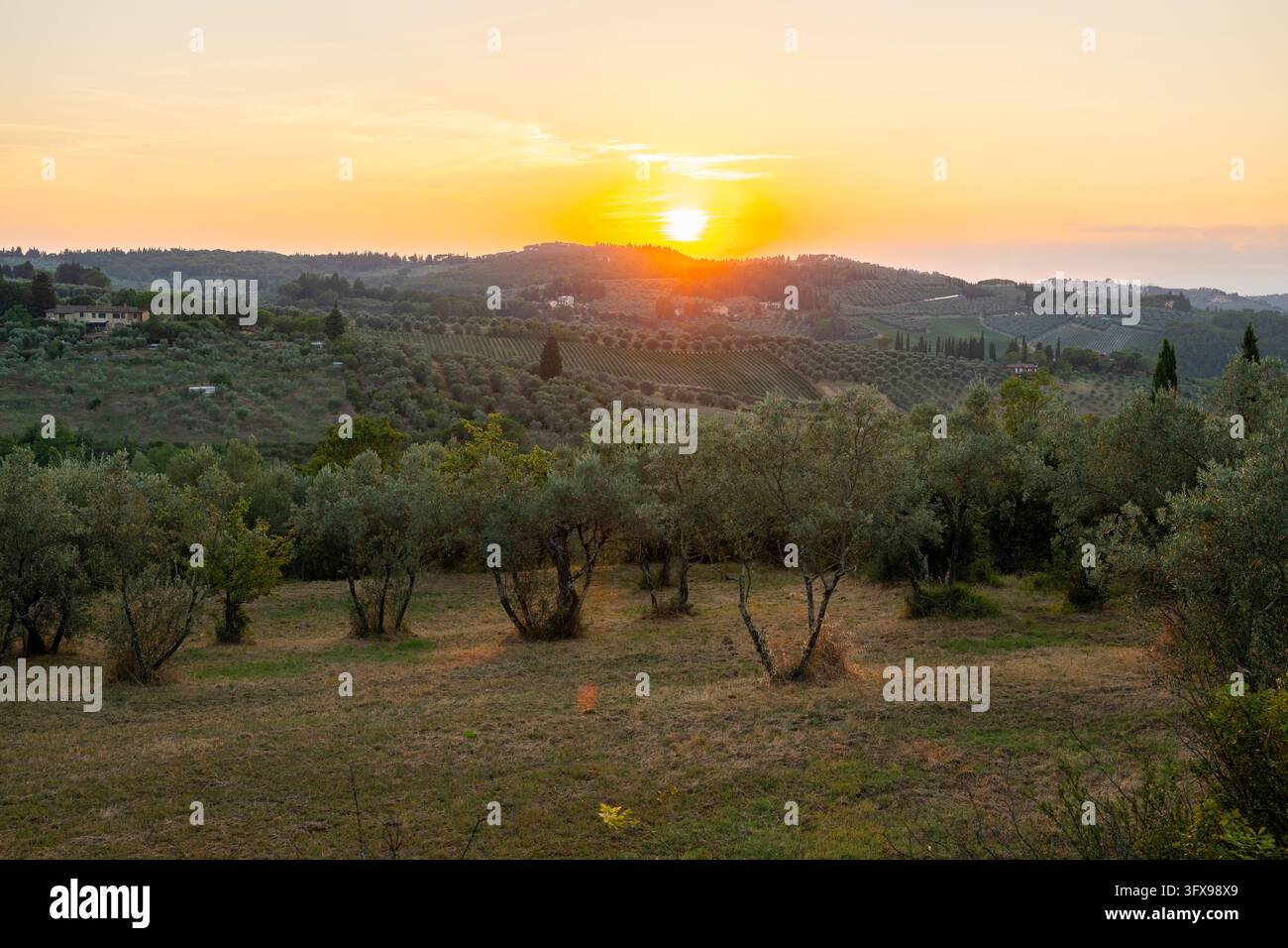 Tuscan landscape at sunset, country estate with olive trees in Chianti ...