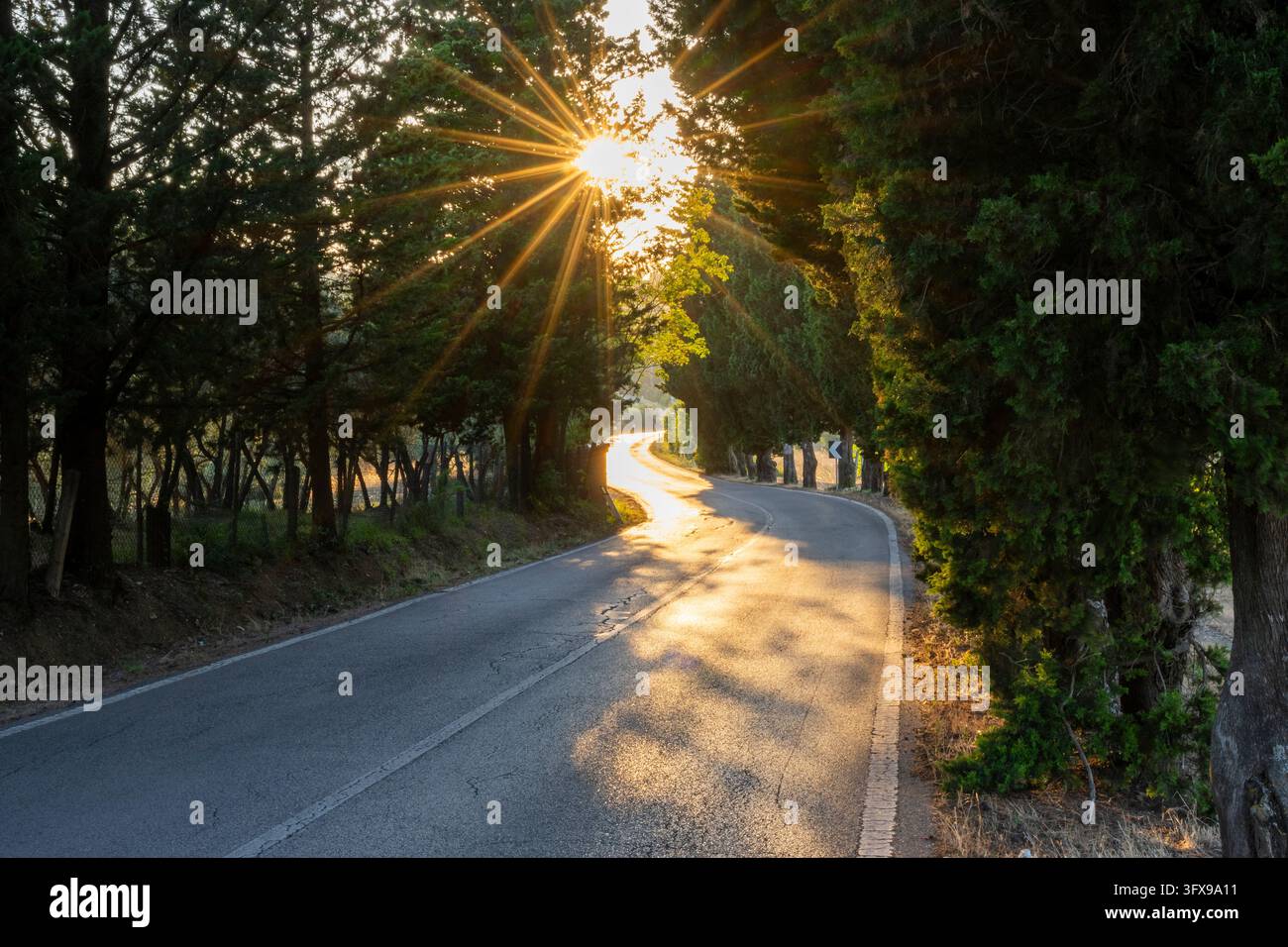 View of a strees in the tuscan landscape, country estate in Chianti at ...