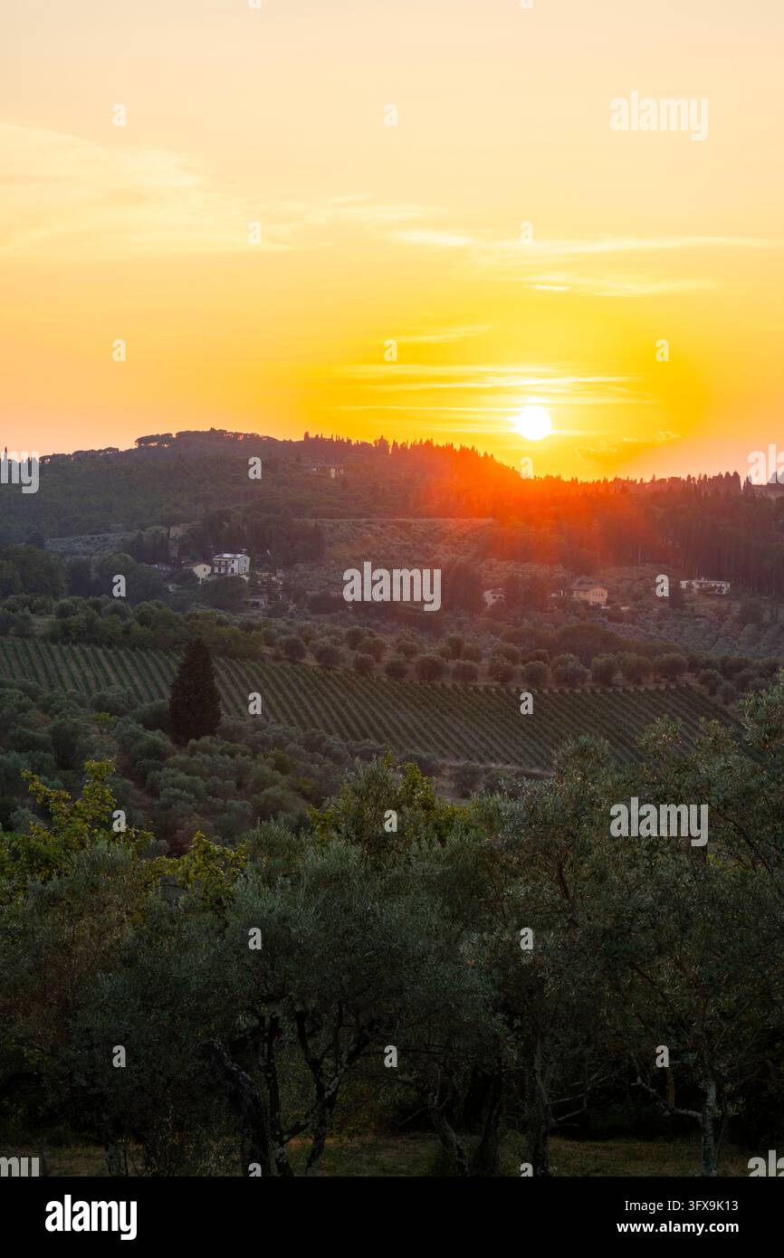 Tuscan landscape at sunset, country estate with olive trees in Chianti ...