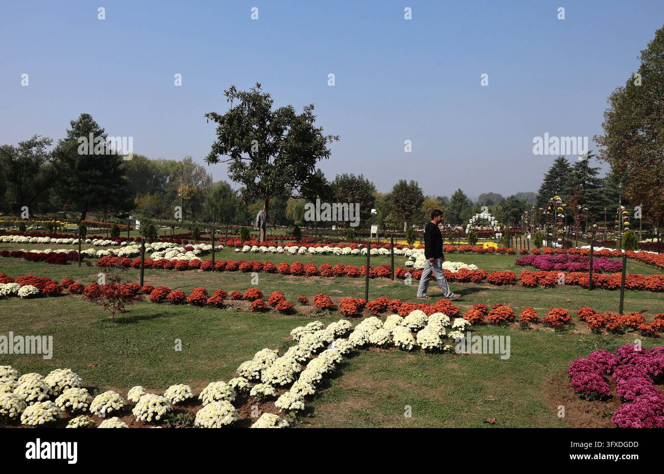 SRINAGAR, INDIA - OCTOBER 22: Visitors stroll along flower-lined ...