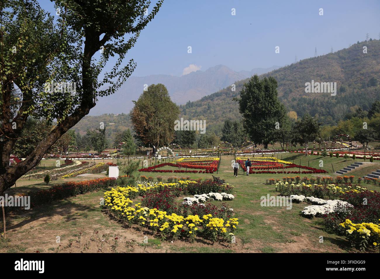 SRINAGAR, INDIA - OCTOBER 22: Visitors stroll along flower-lined ...