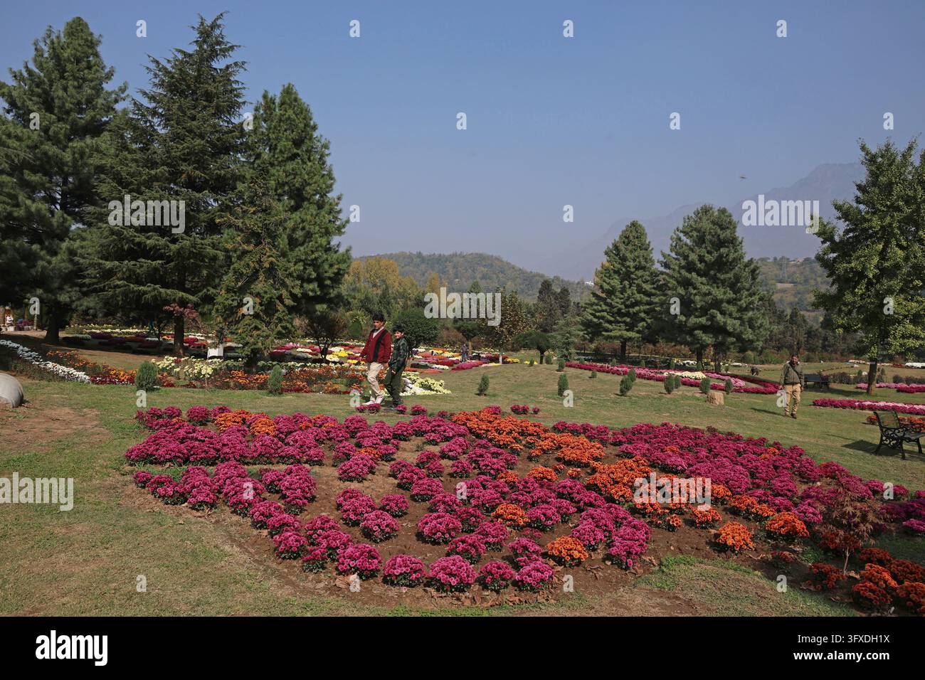 SRINAGAR, INDIA - OCTOBER 22: Visitors stroll along flower-lined ...