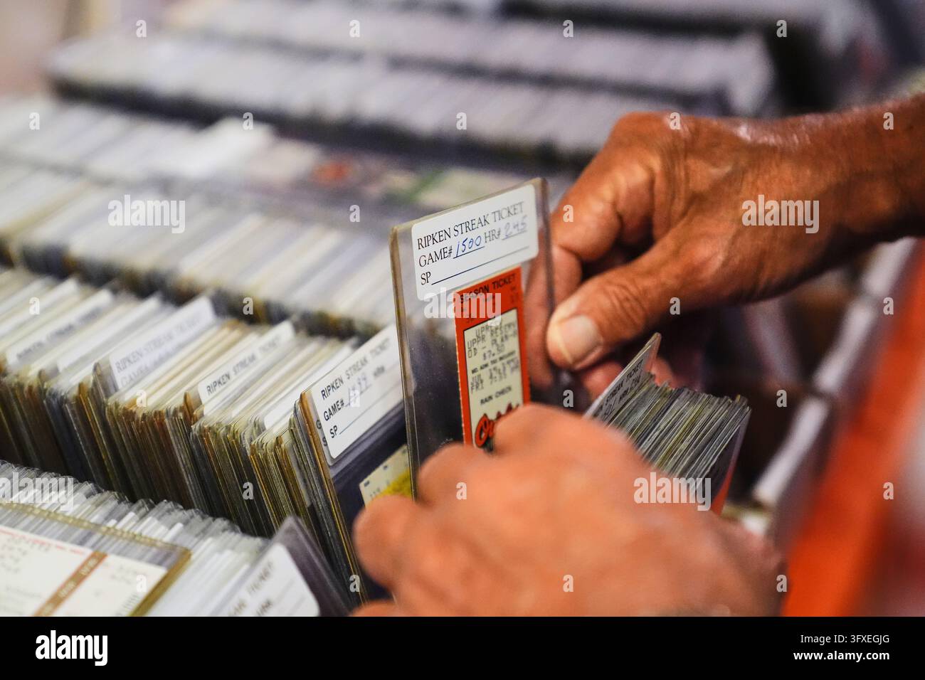 Baltimore Orioles fan Rick Taylor thumbs through his collection of ...
