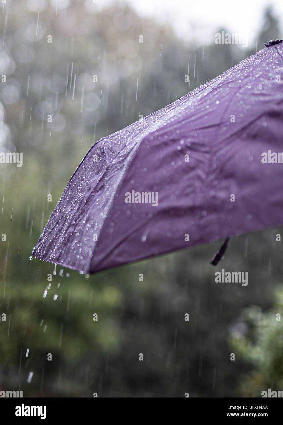 Kidderminster, UK. 23rd October, 2026. UK weather: there's plenty of ...