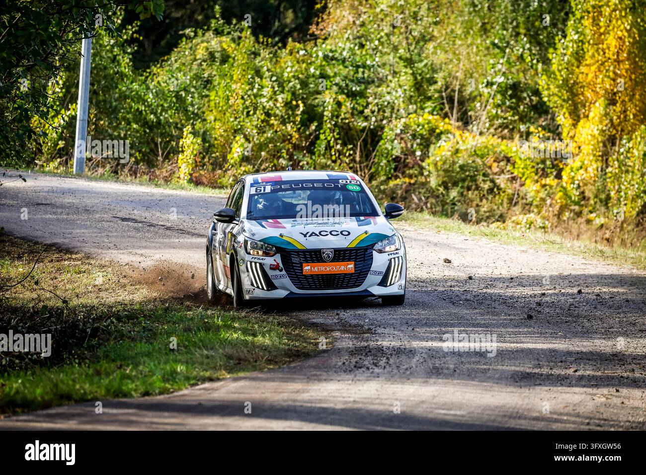 61 PERRIN Romain, GOUTRY-ANDRE Albin, Peugeot 208 FR6, action during ...