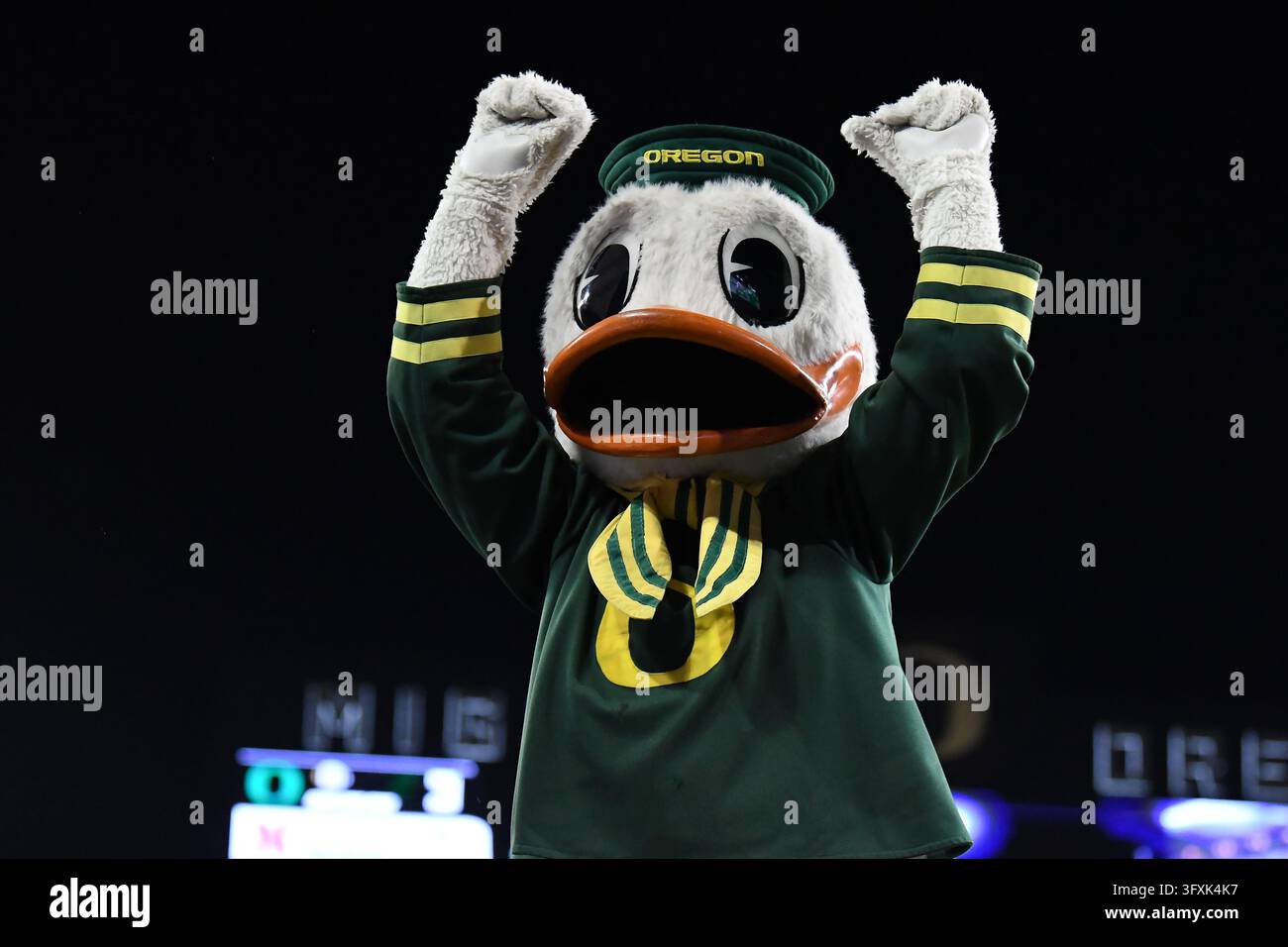 EUGENE, OR - OCTOBER 17: The Oregon Ducks mascot, Puddles, rallies the ...