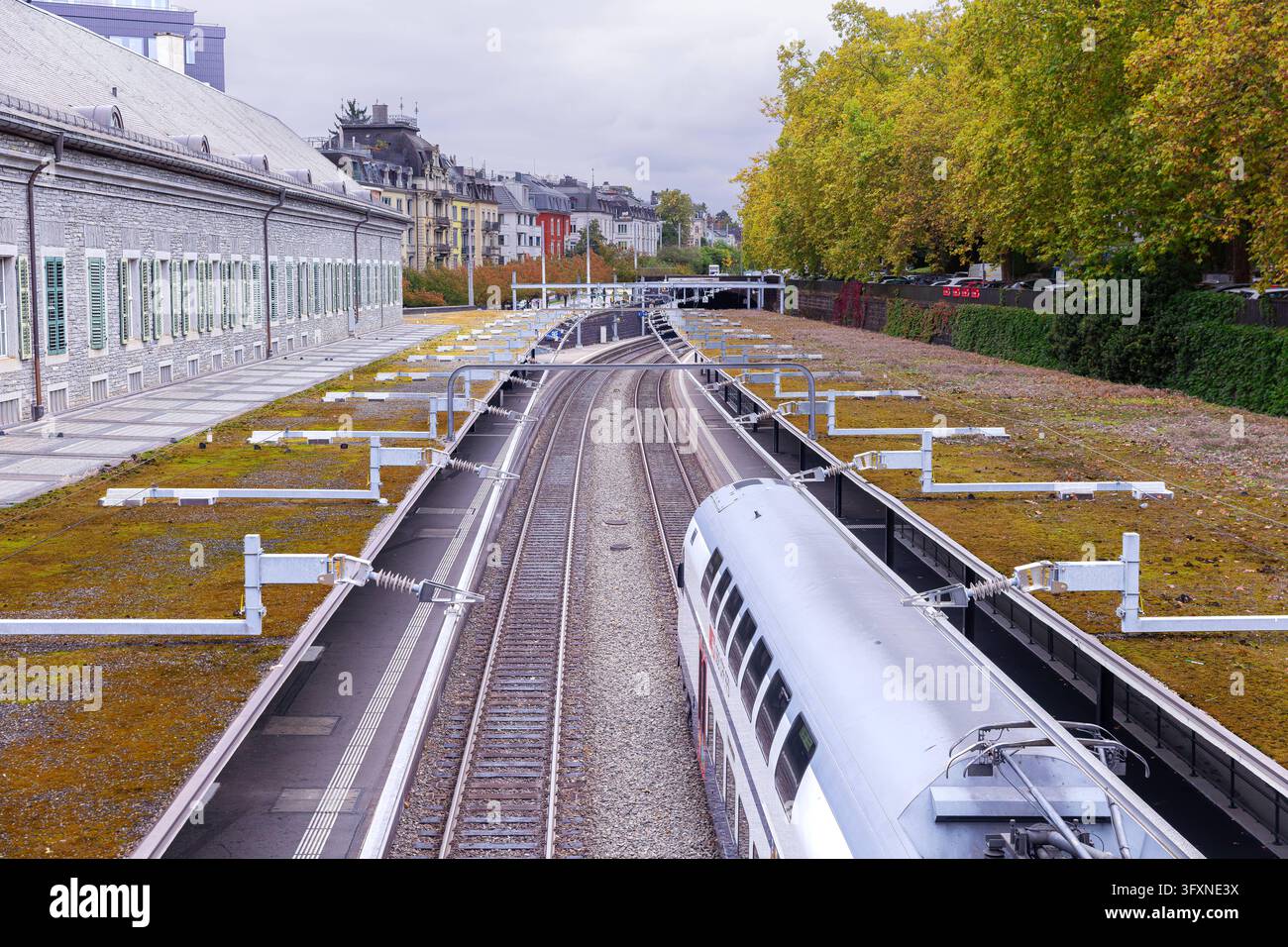 Zürich, Schweiz Ein Zug fährt auf den Gleisen durch das Stadtgebiet ...
