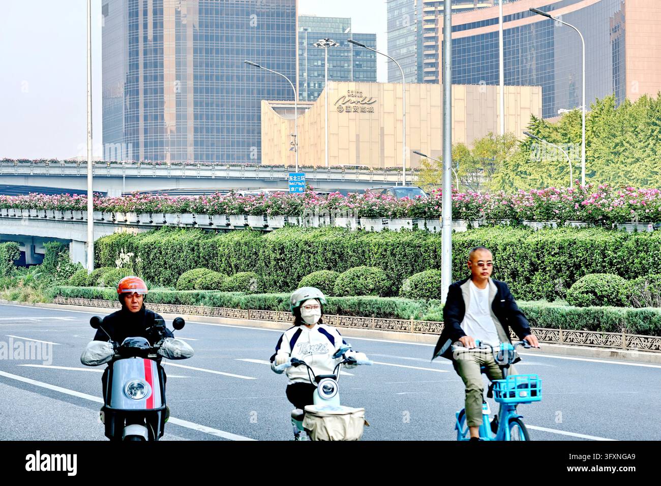 Orange-yellow roses cascade along the ramps of Guomao Bridge in Beijing ...