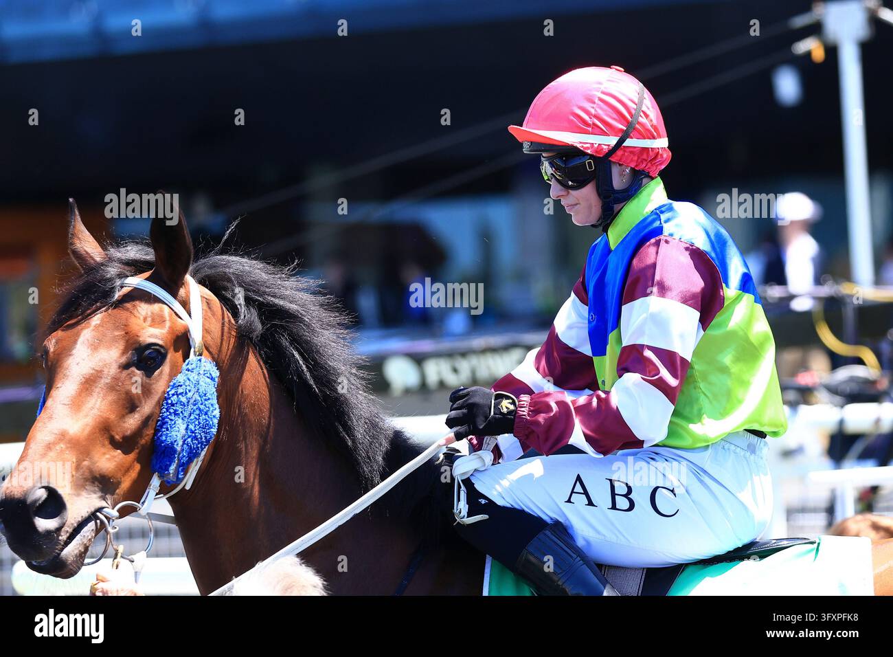 Wolf Team Racing 24th October 2026; Royal Randwick Racecourse, Sydney, Australia; Horse ...