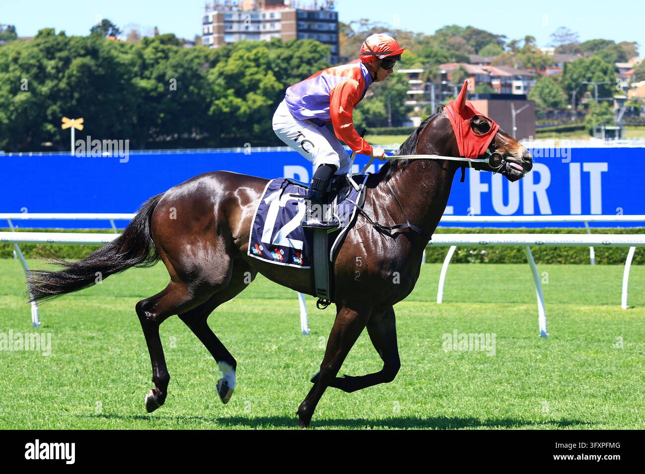 Darts Vector Graphics 24th October 2026; Royal Randwick Racecourse, Sydney, Australia; Horse ...