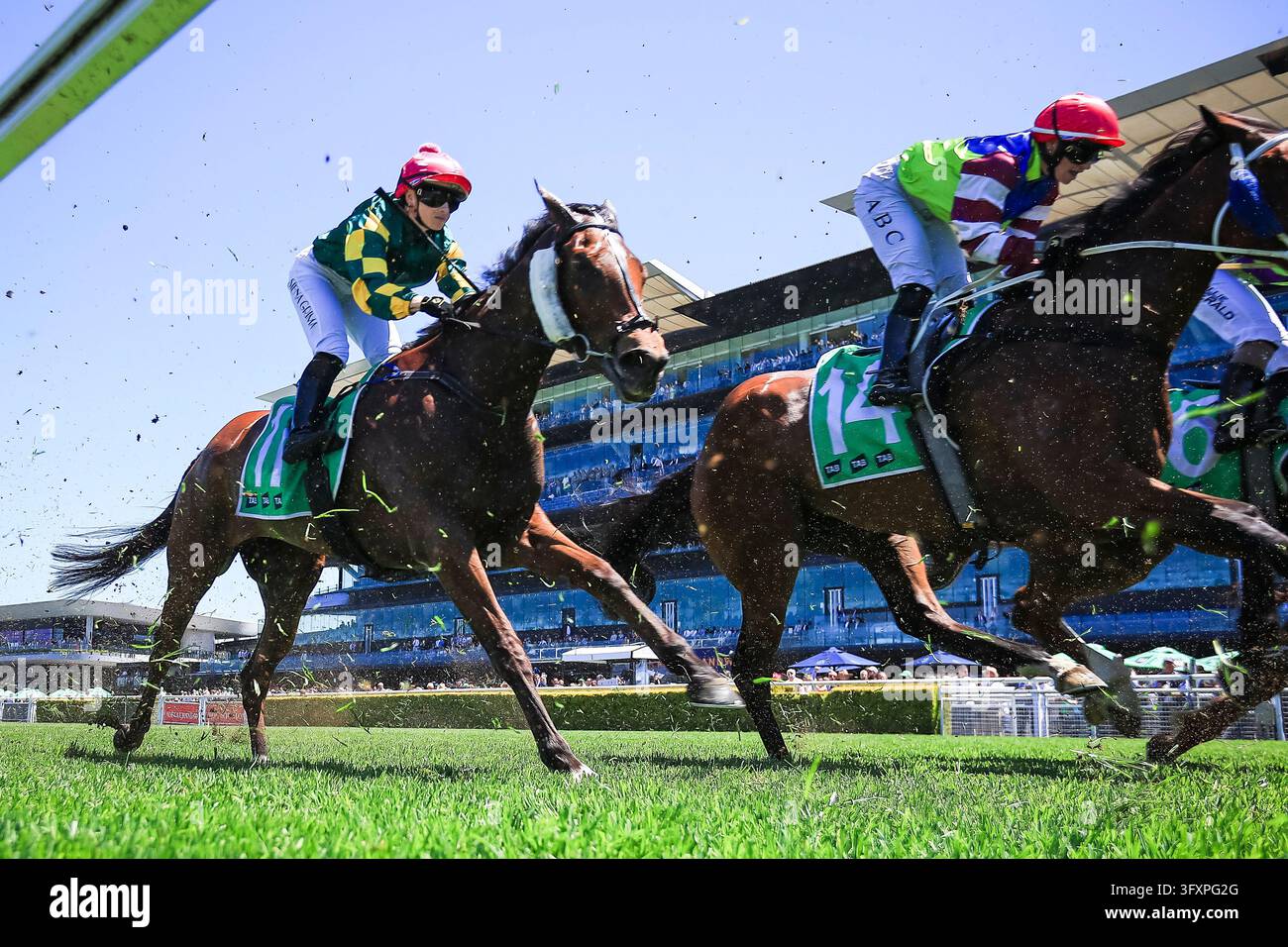 Wolf Team Racing 24th October 2026; Royal Randwick Racecourse, Sydney, Australia; Horse ...