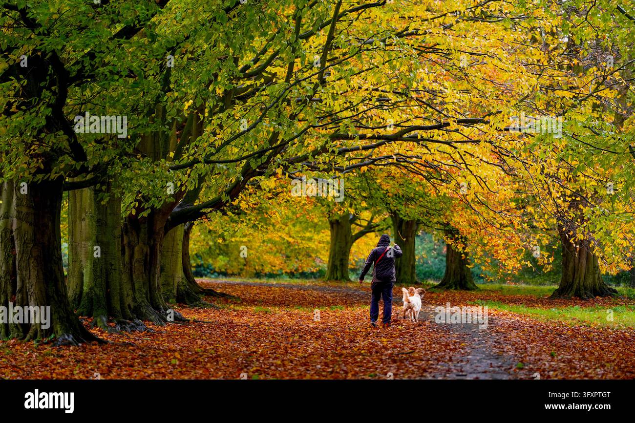 Storm Graphics Storm boelo northern ireland hi-res stock photography and images - Alamy