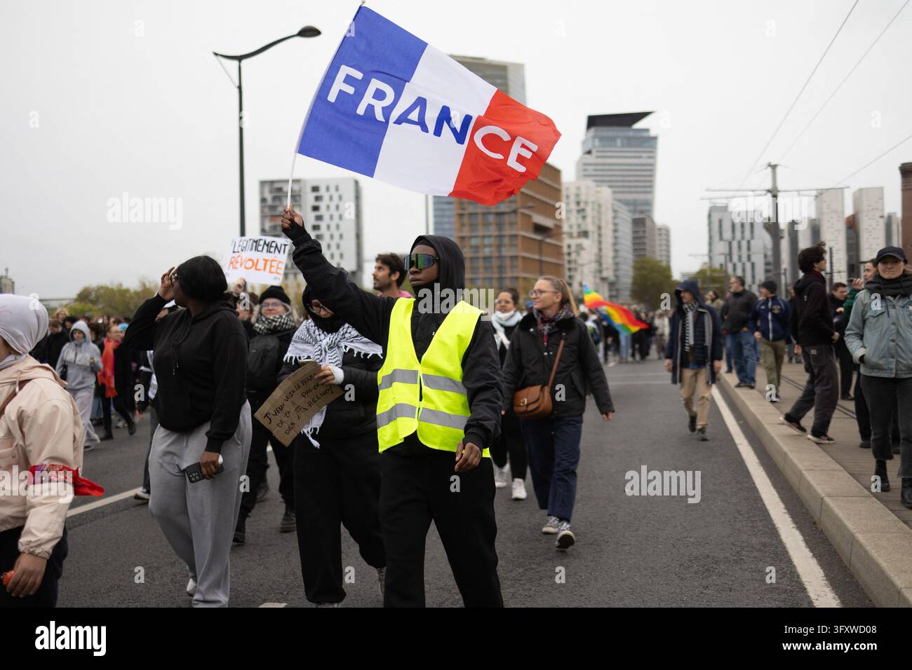 A woman wearing a Yellow Vest (Gilet Jaune) holds a French flag during ...